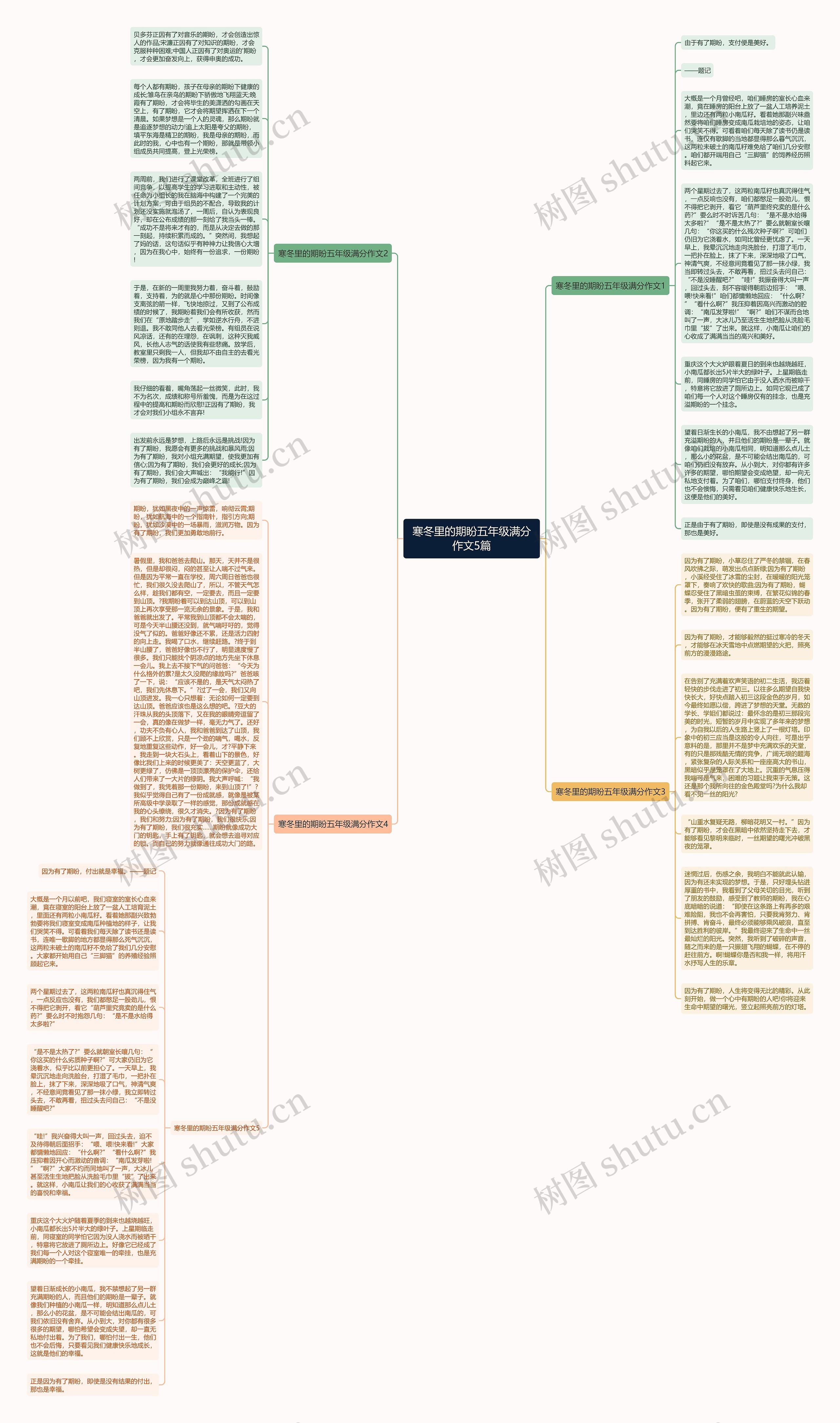 寒冬里的期盼五年级满分作文5篇思维导图