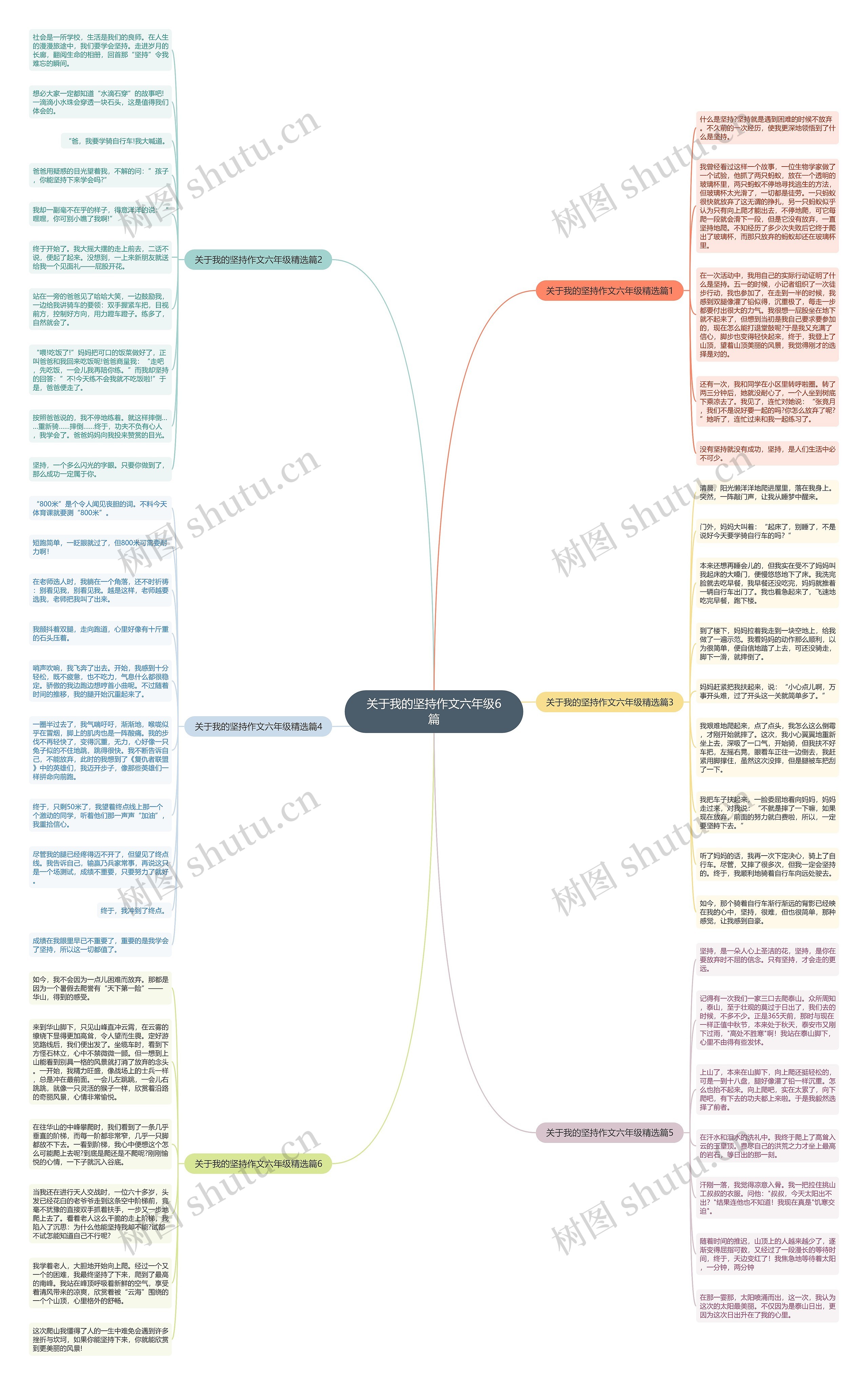 关于我的坚持作文六年级6篇思维导图