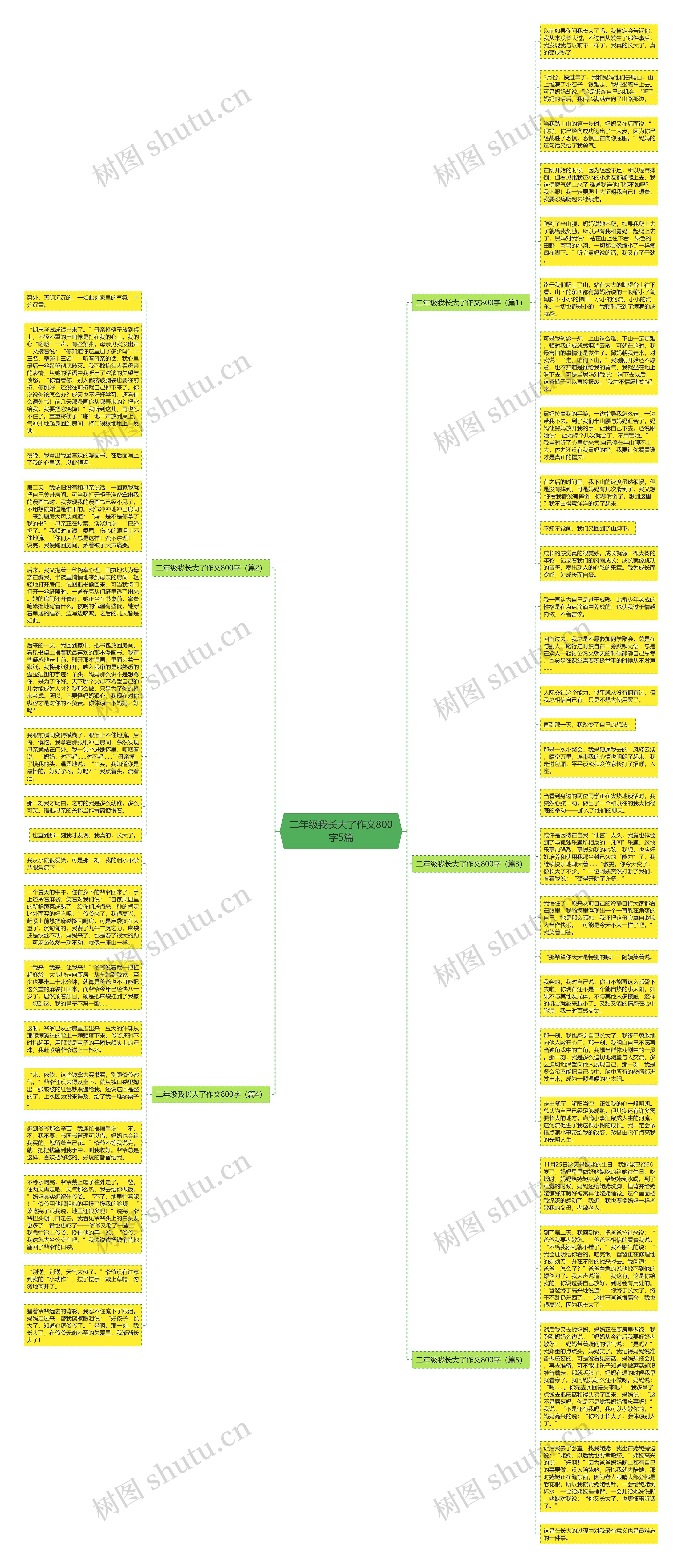 二年级我长大了作文800字5篇思维导图