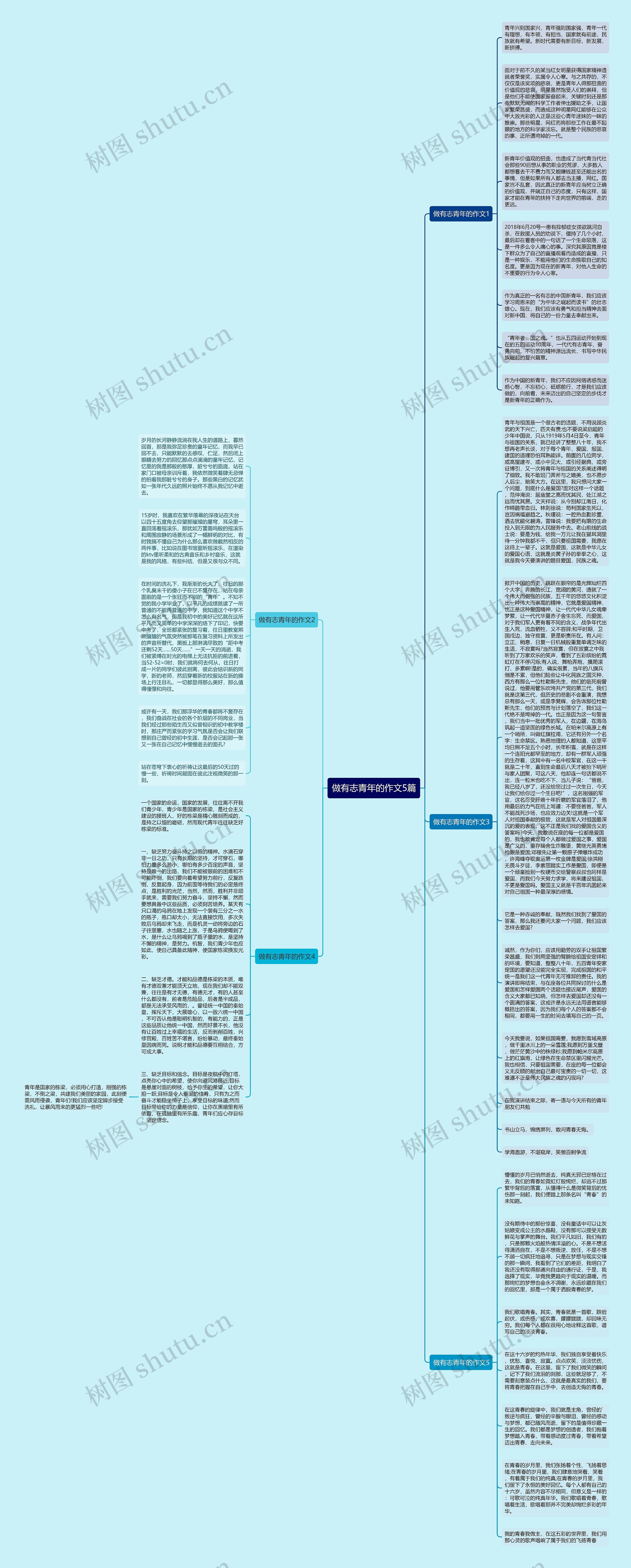 做有志青年的作文5篇思维导图