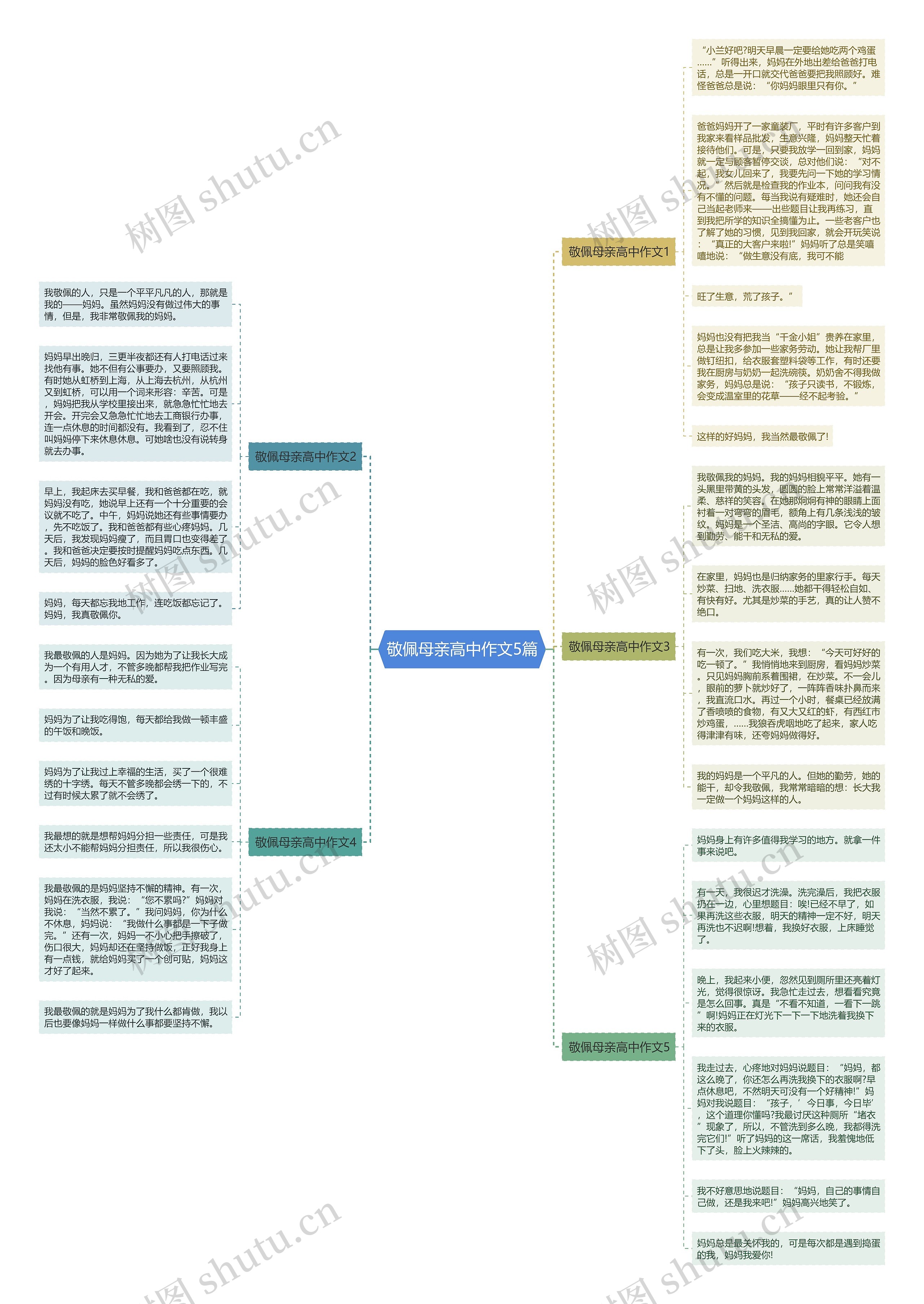 敬佩母亲高中作文5篇思维导图
