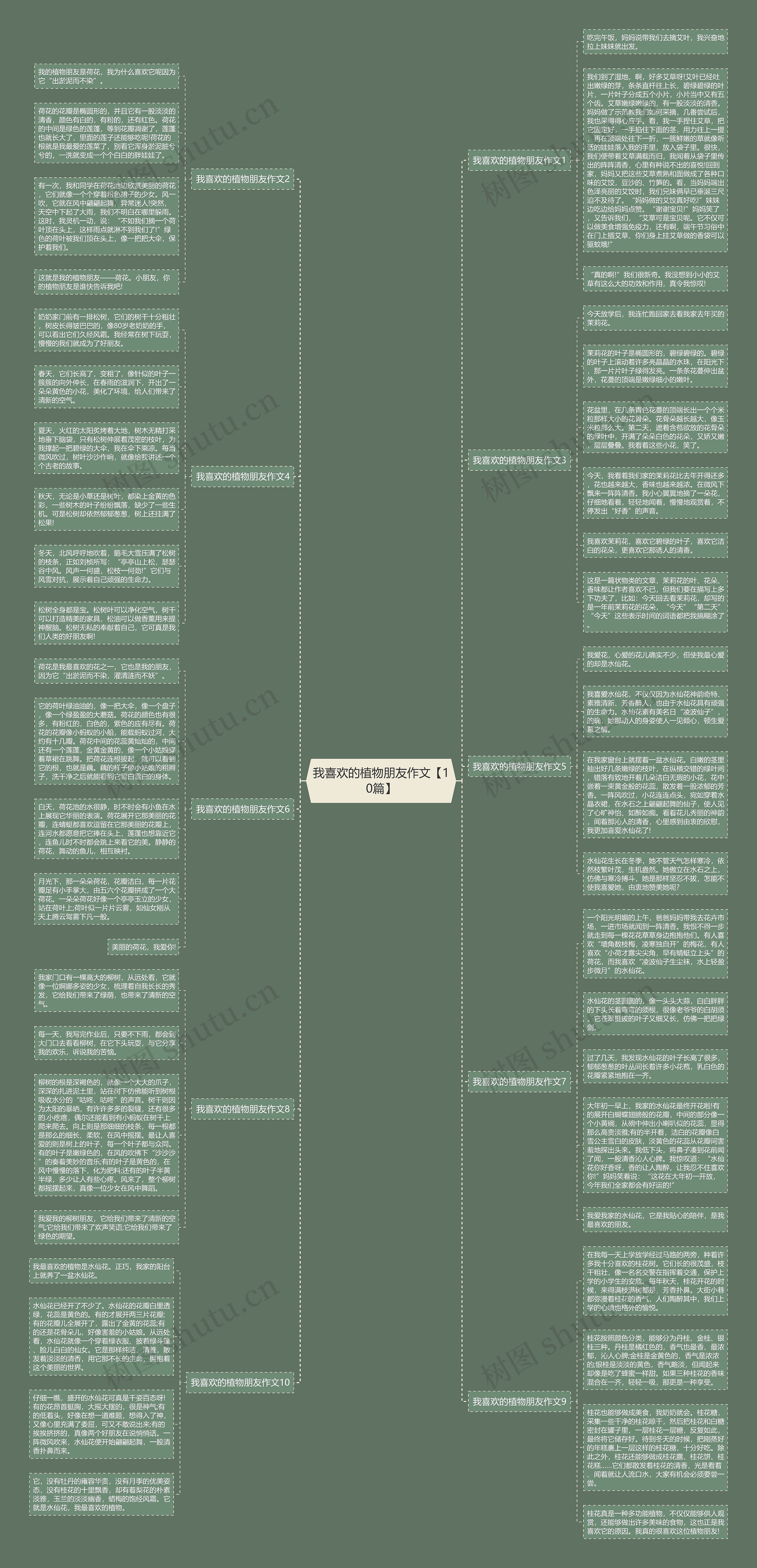 我喜欢的植物朋友作文【10篇】思维导图
