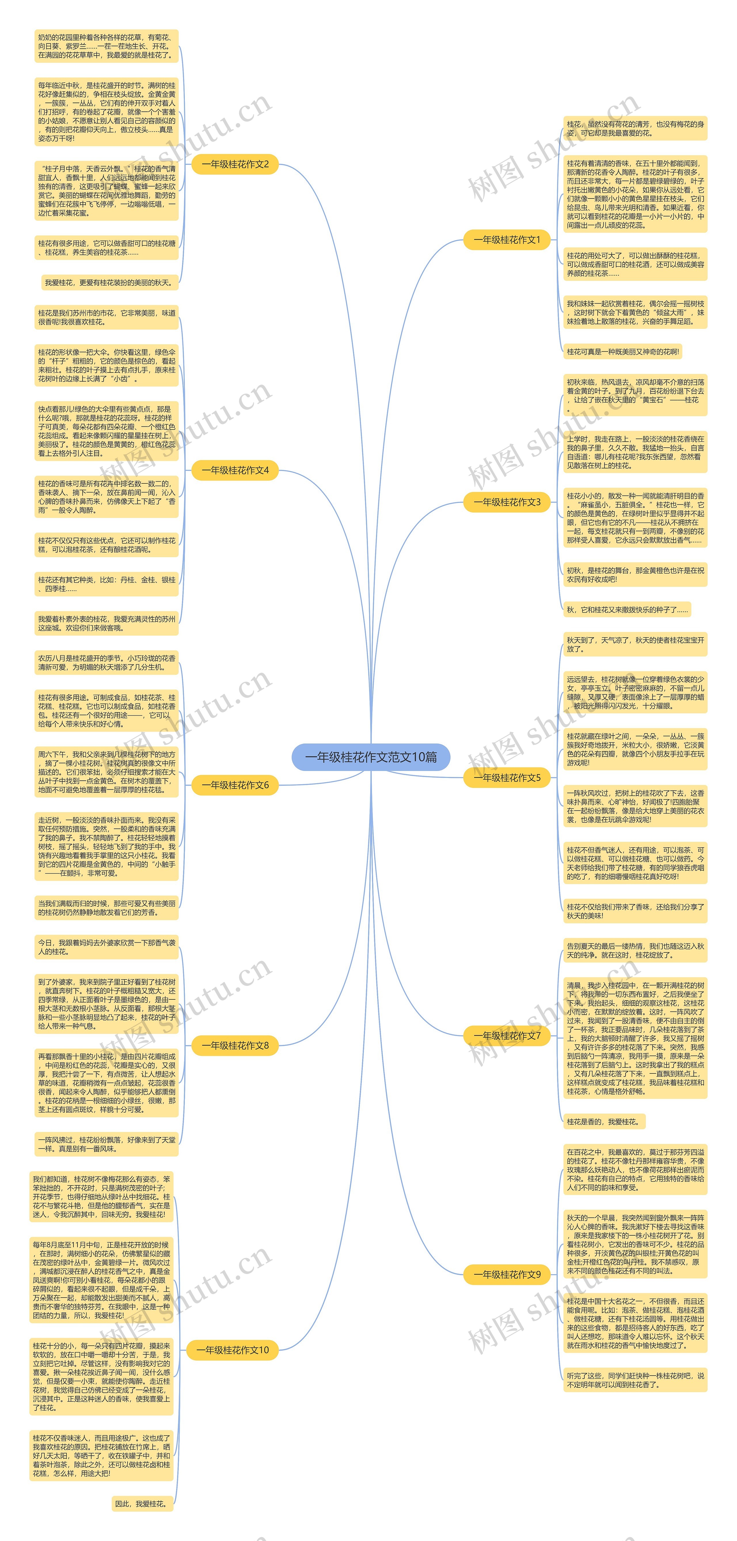 一年级桂花作文范文10篇思维导图