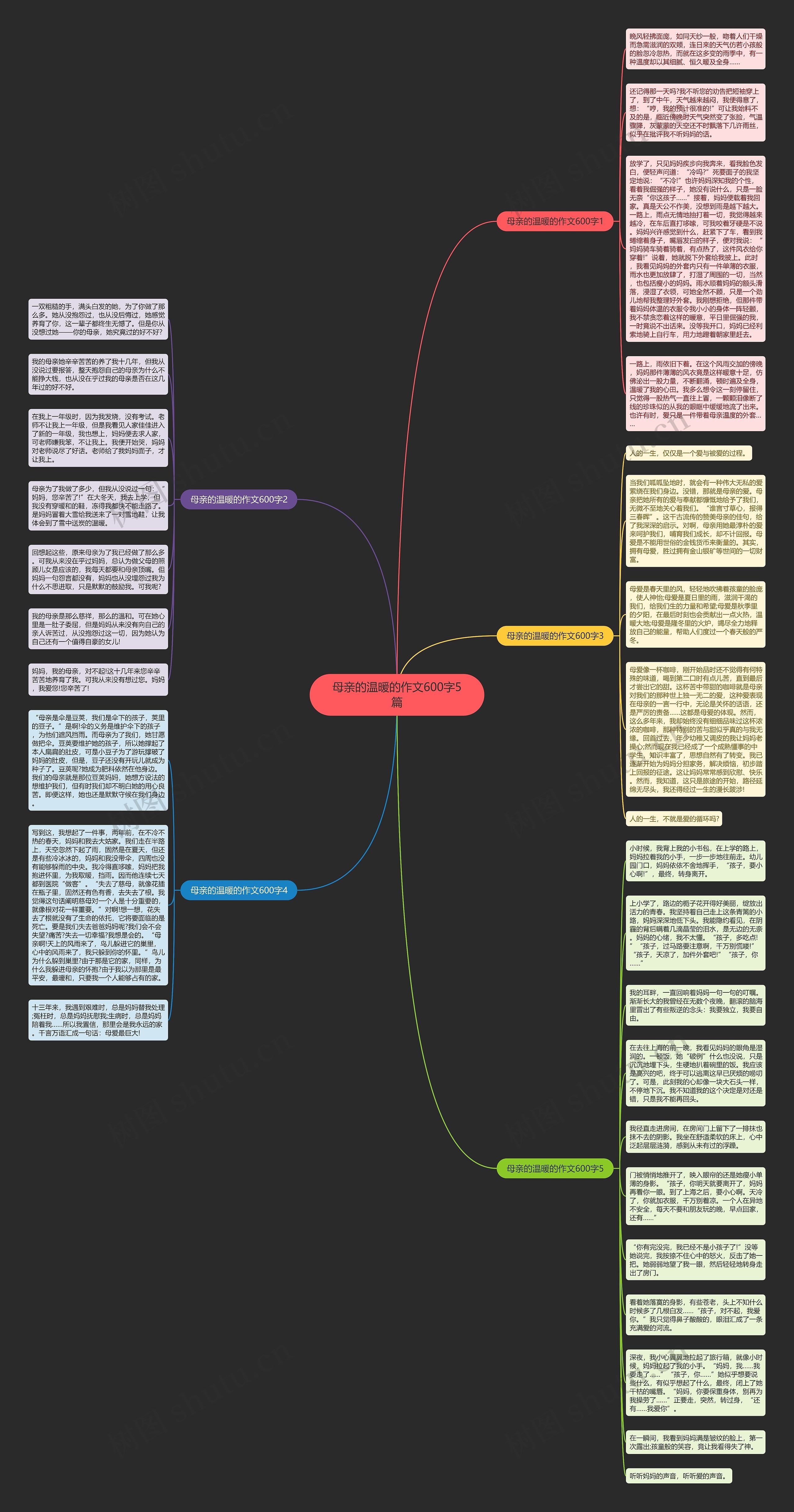 母亲的温暖的作文600字5篇