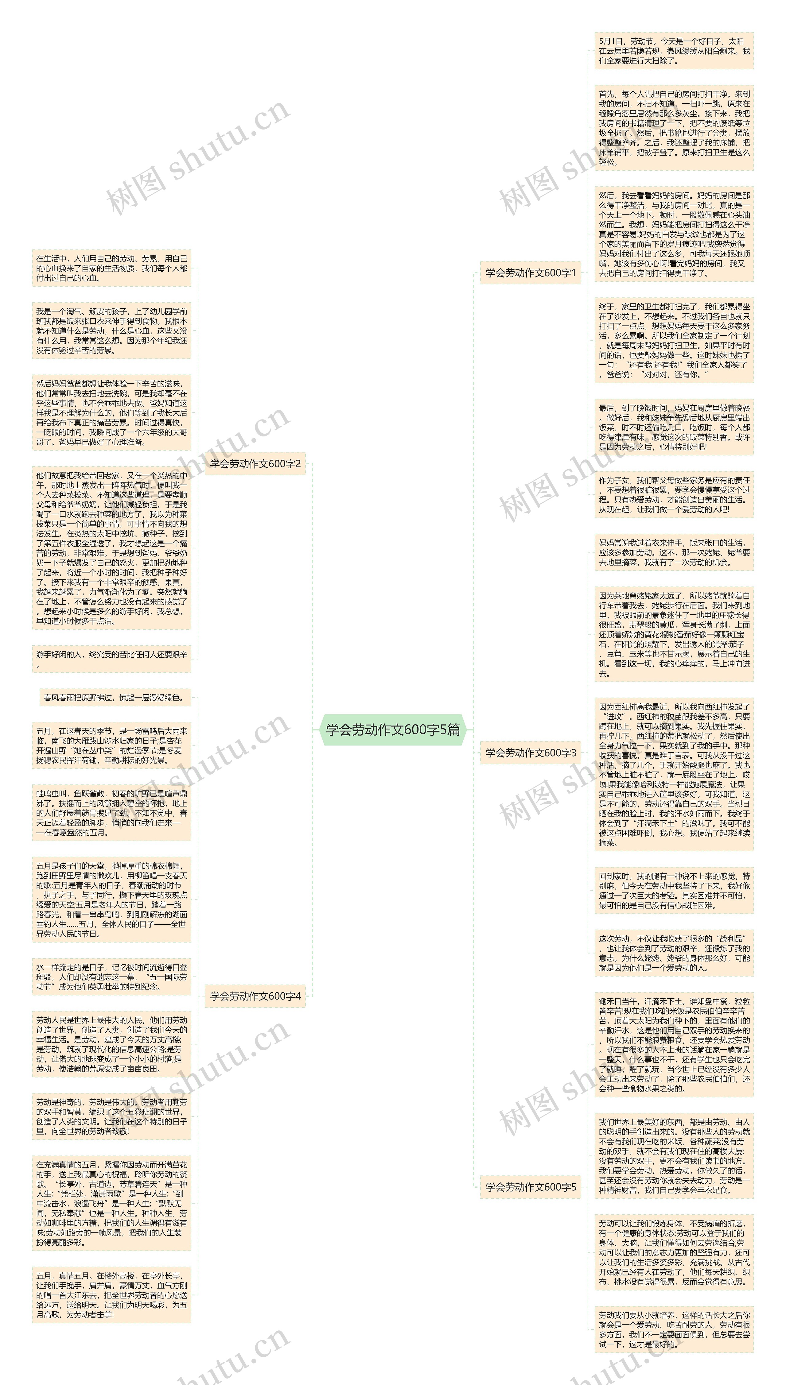 学会劳动作文600字5篇思维导图