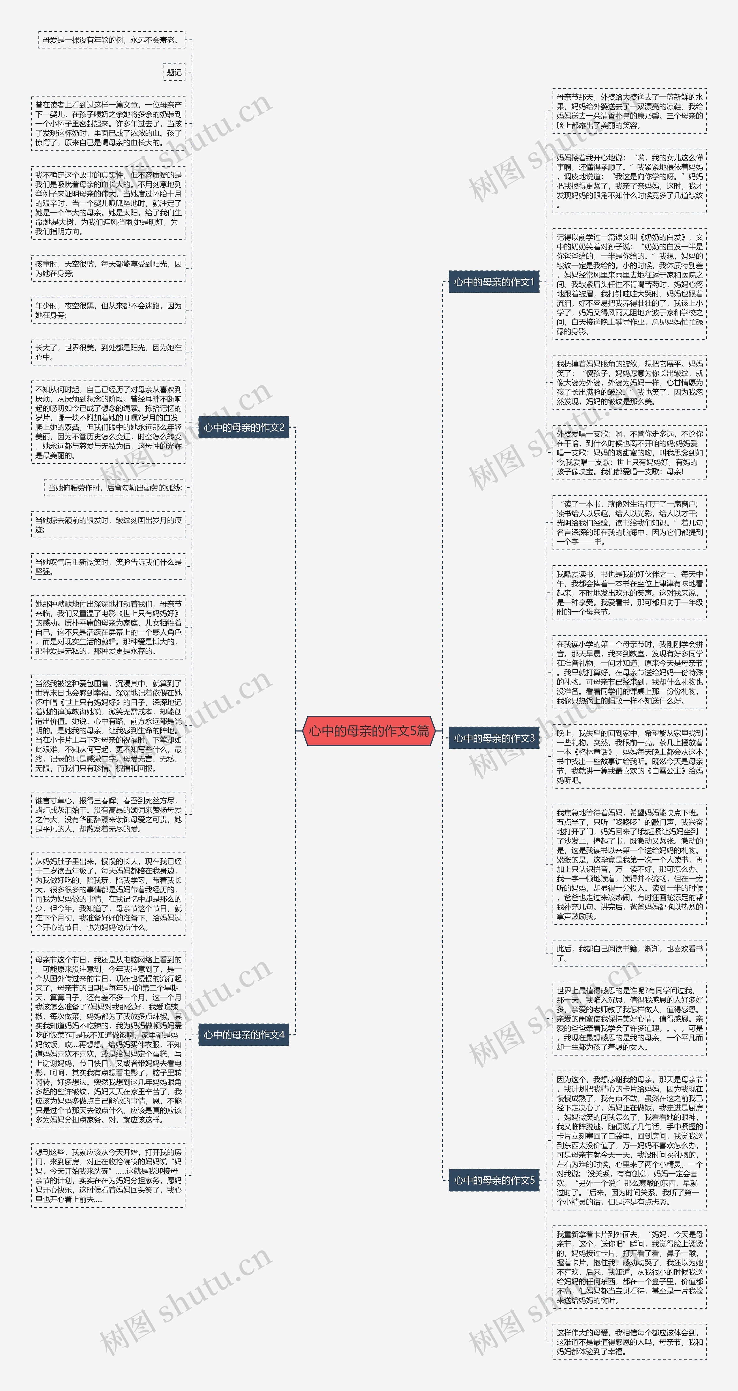 心中的母亲的作文5篇思维导图