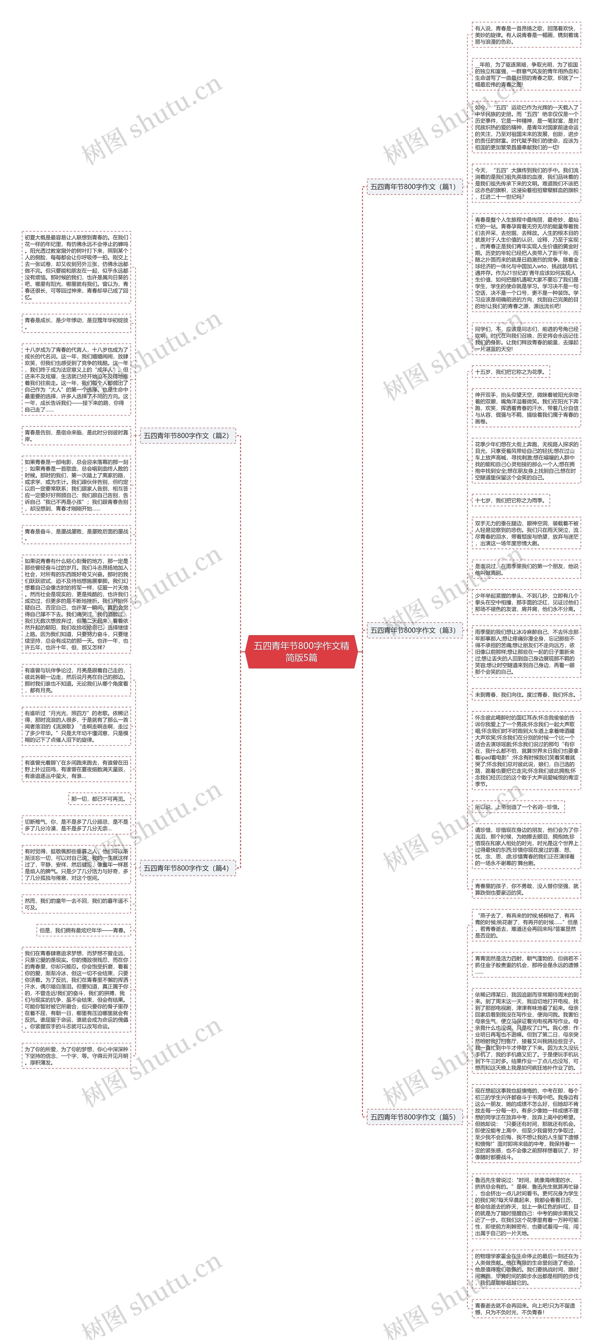 五四青年节800字作文精简版5篇思维导图