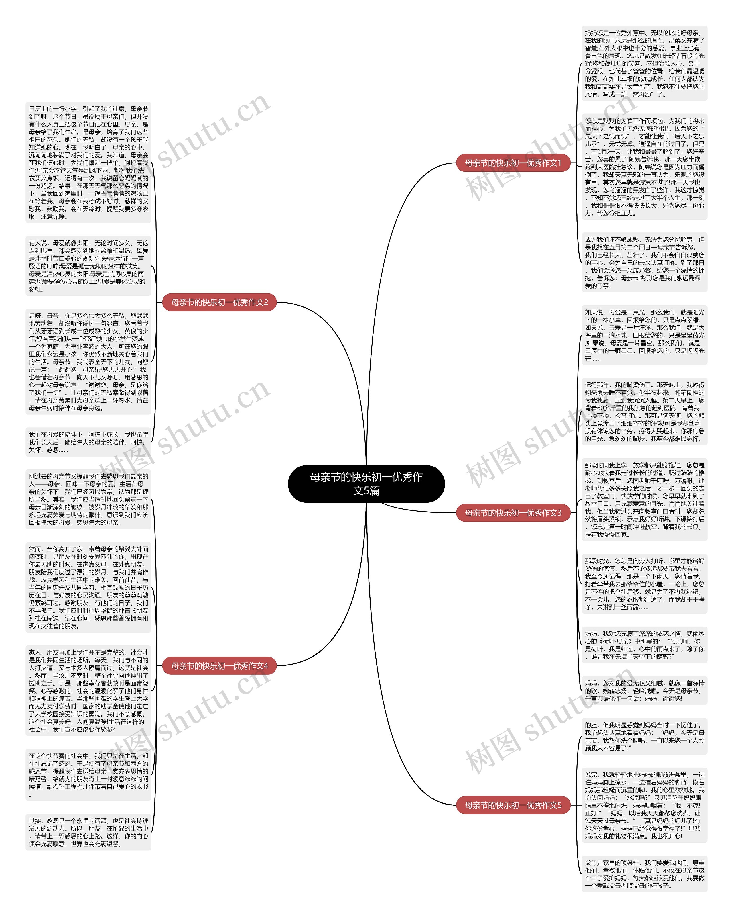 母亲节的快乐初一优秀作文5篇思维导图