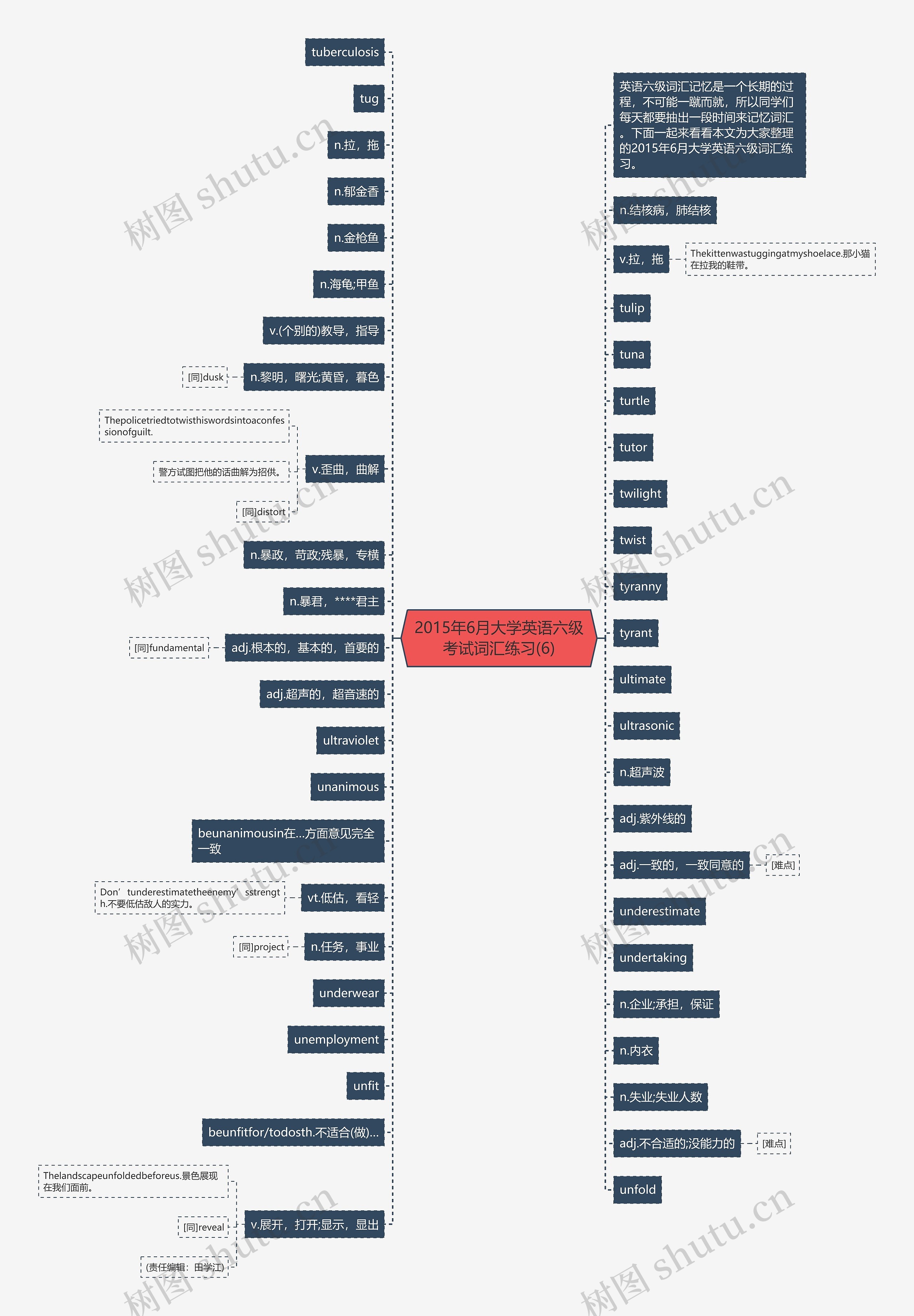 2015年6月大学英语六级考试词汇练习(6)思维导图