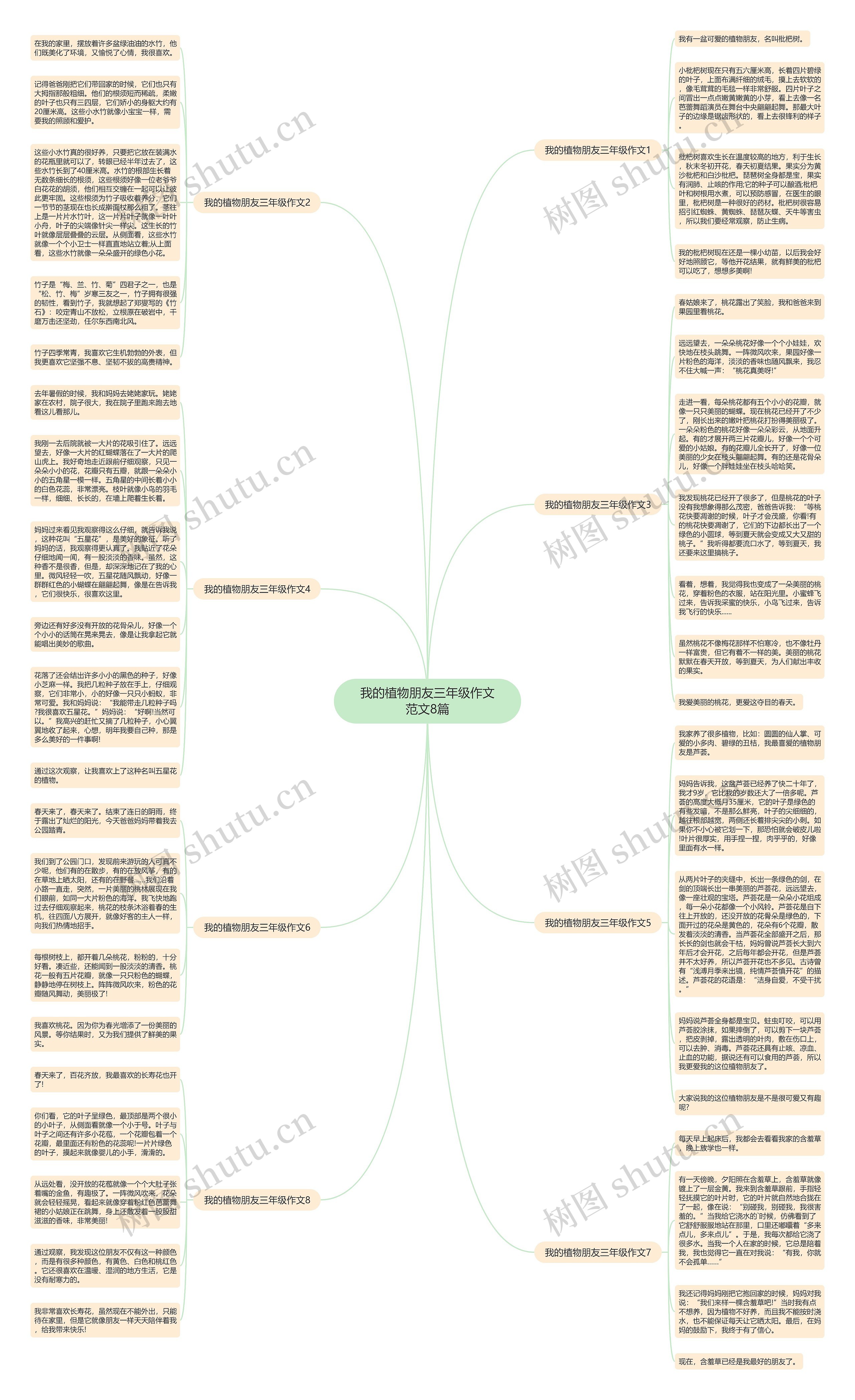 我的植物朋友三年级作文范文8篇思维导图