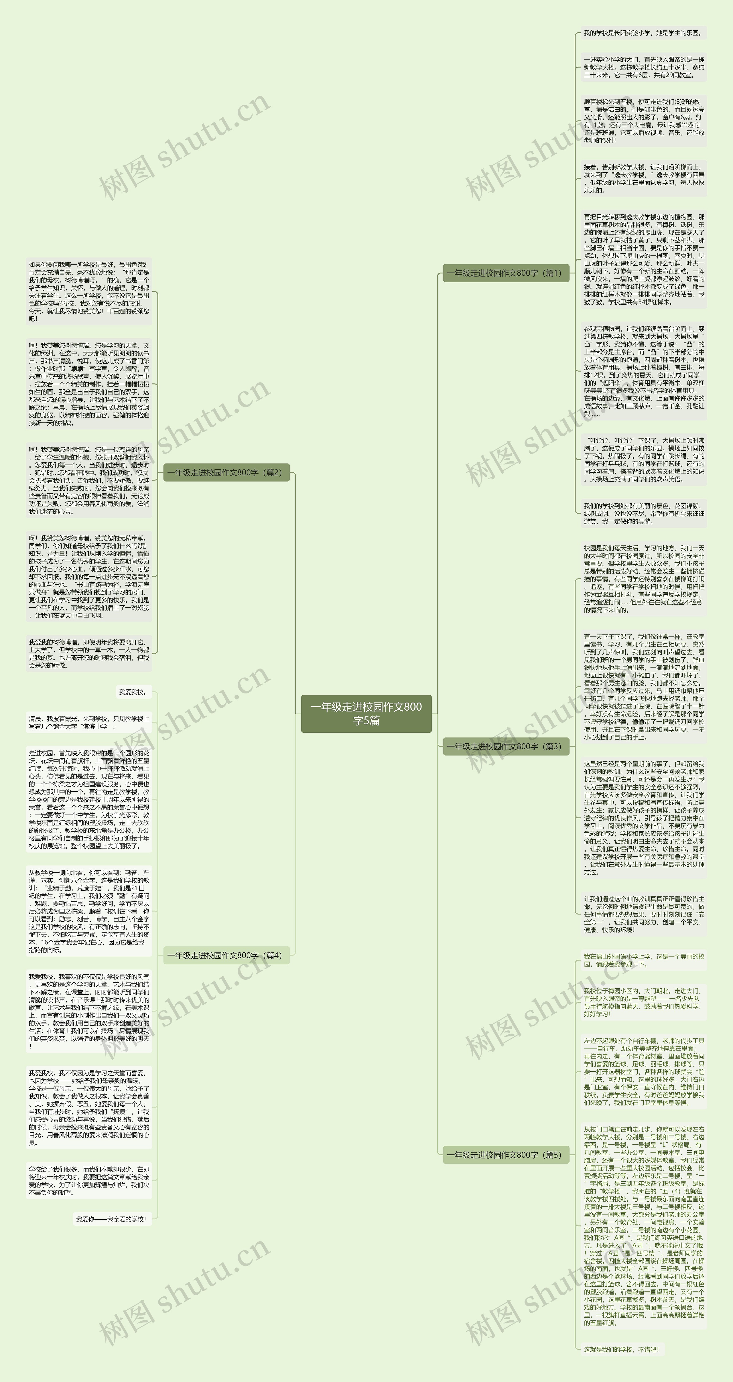 一年级走进校园作文800字5篇思维导图