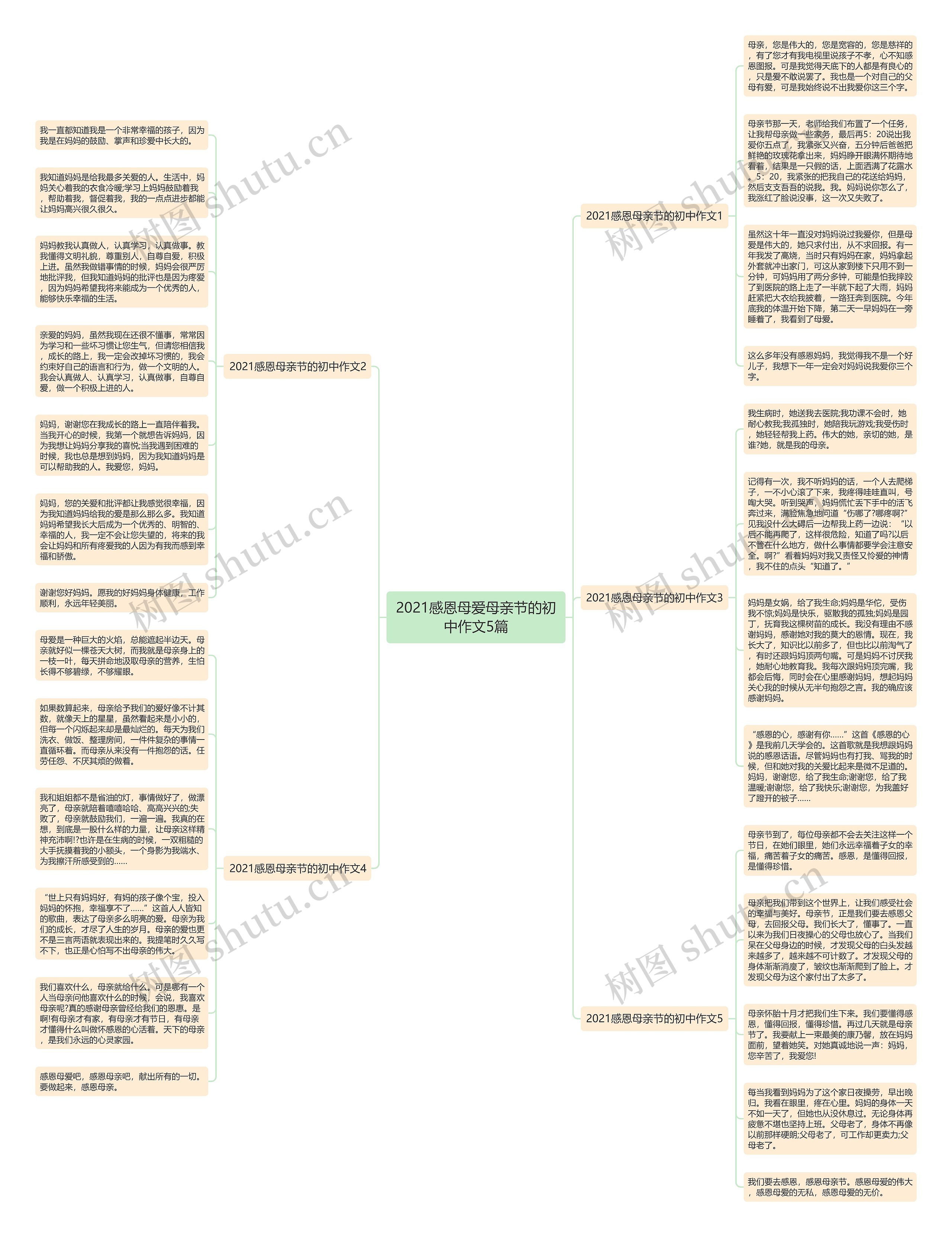 2021感恩母爱母亲节的初中作文5篇思维导图
