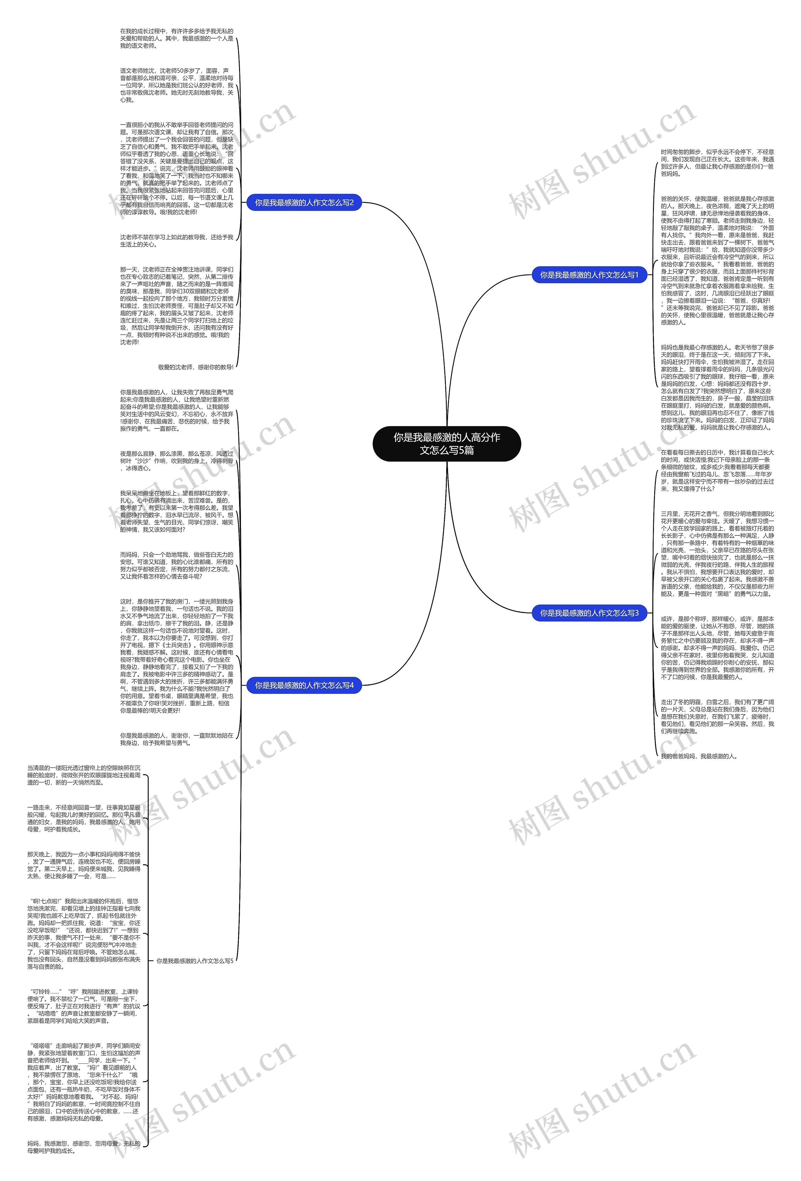 你是我最感激的人高分作文怎么写5篇思维导图