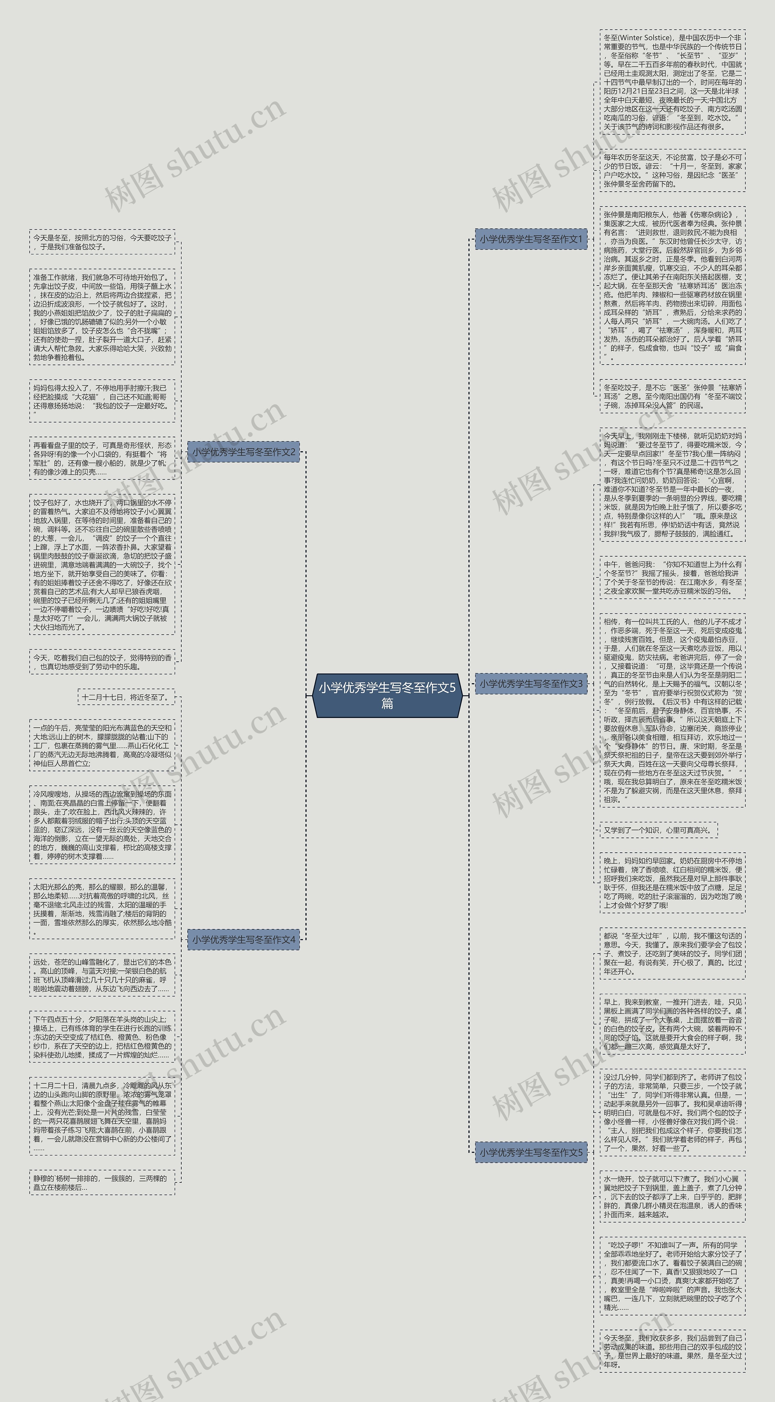 小学优秀学生写冬至作文5篇思维导图