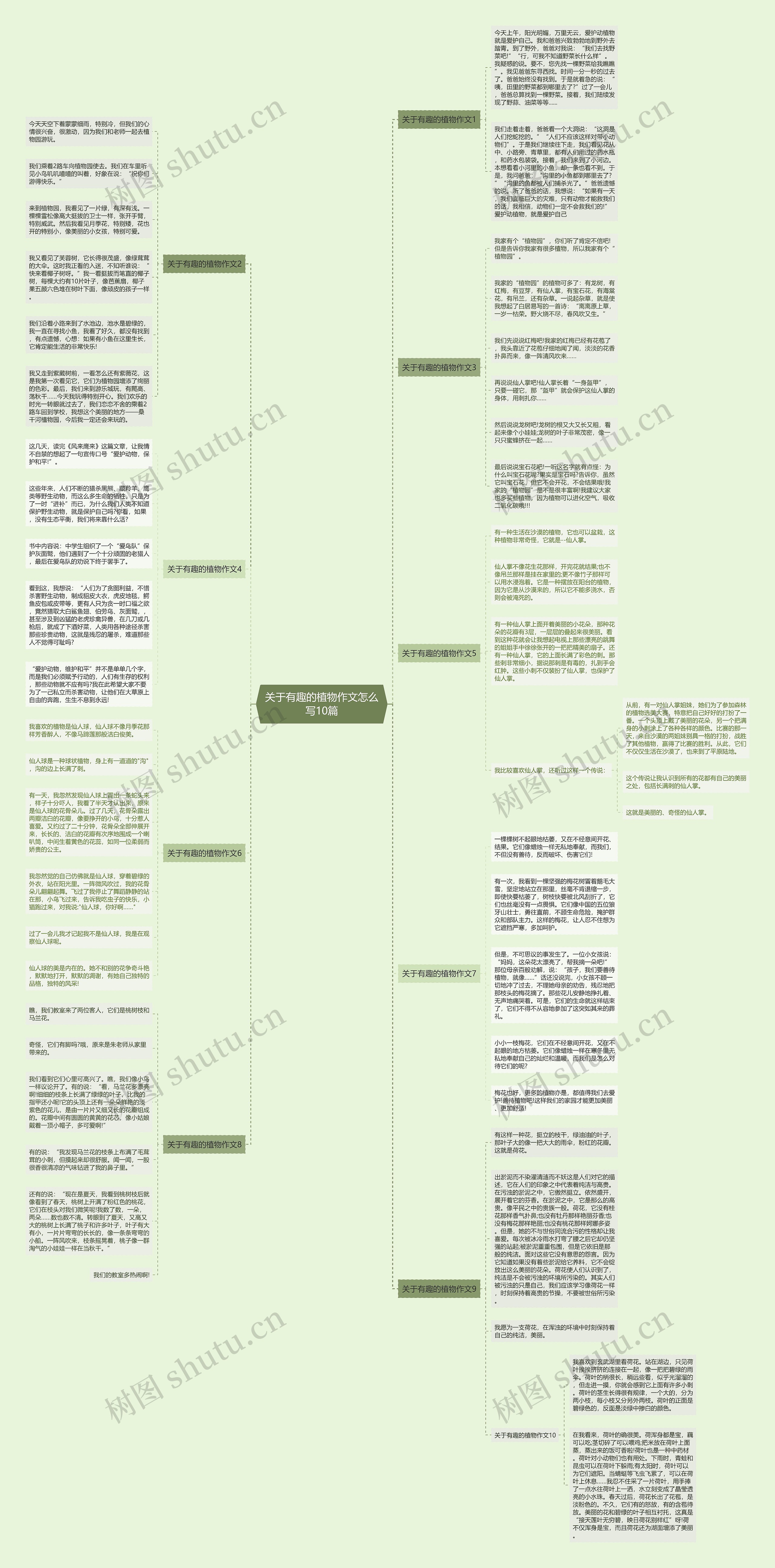 关于有趣的植物作文怎么写10篇