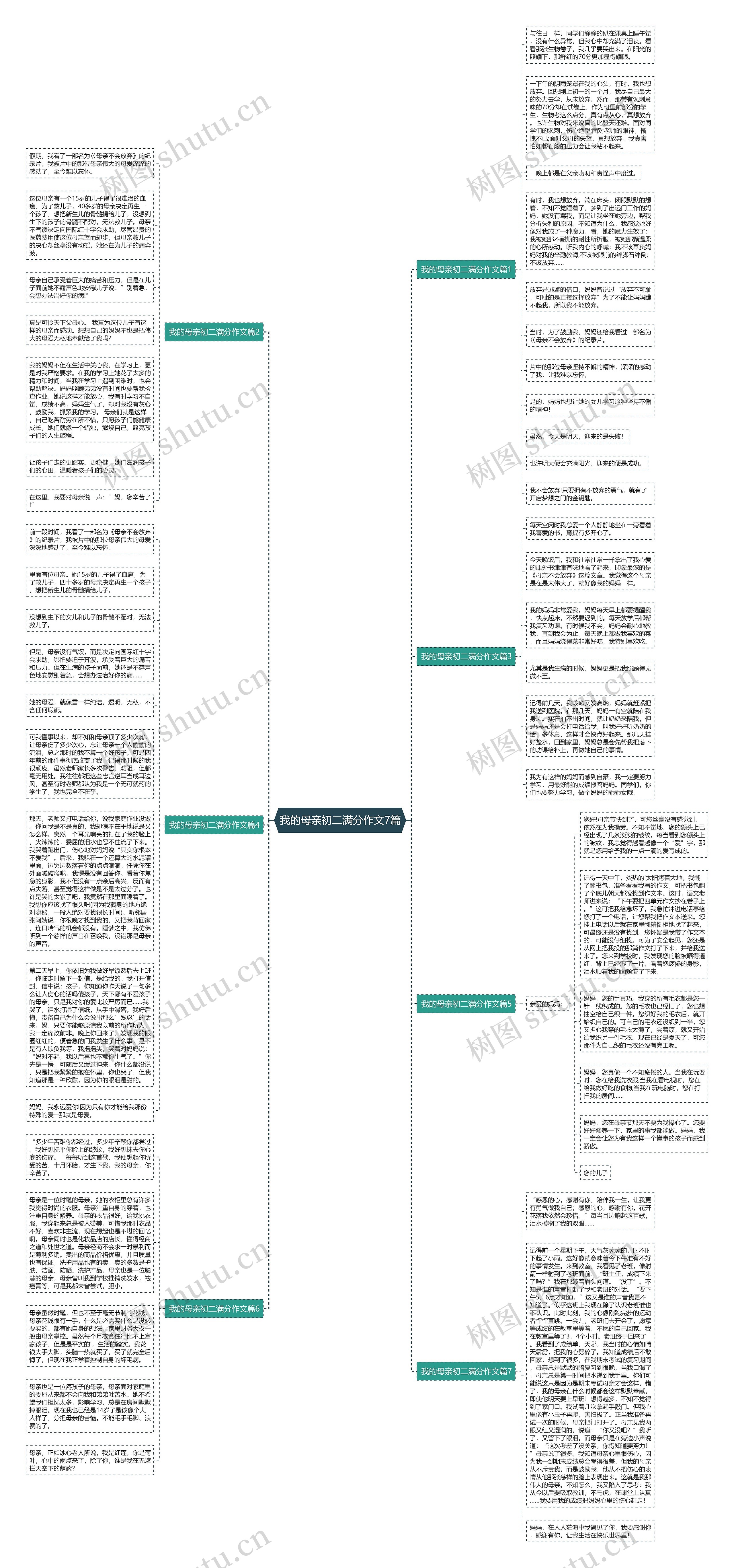 我的母亲初二满分作文7篇思维导图