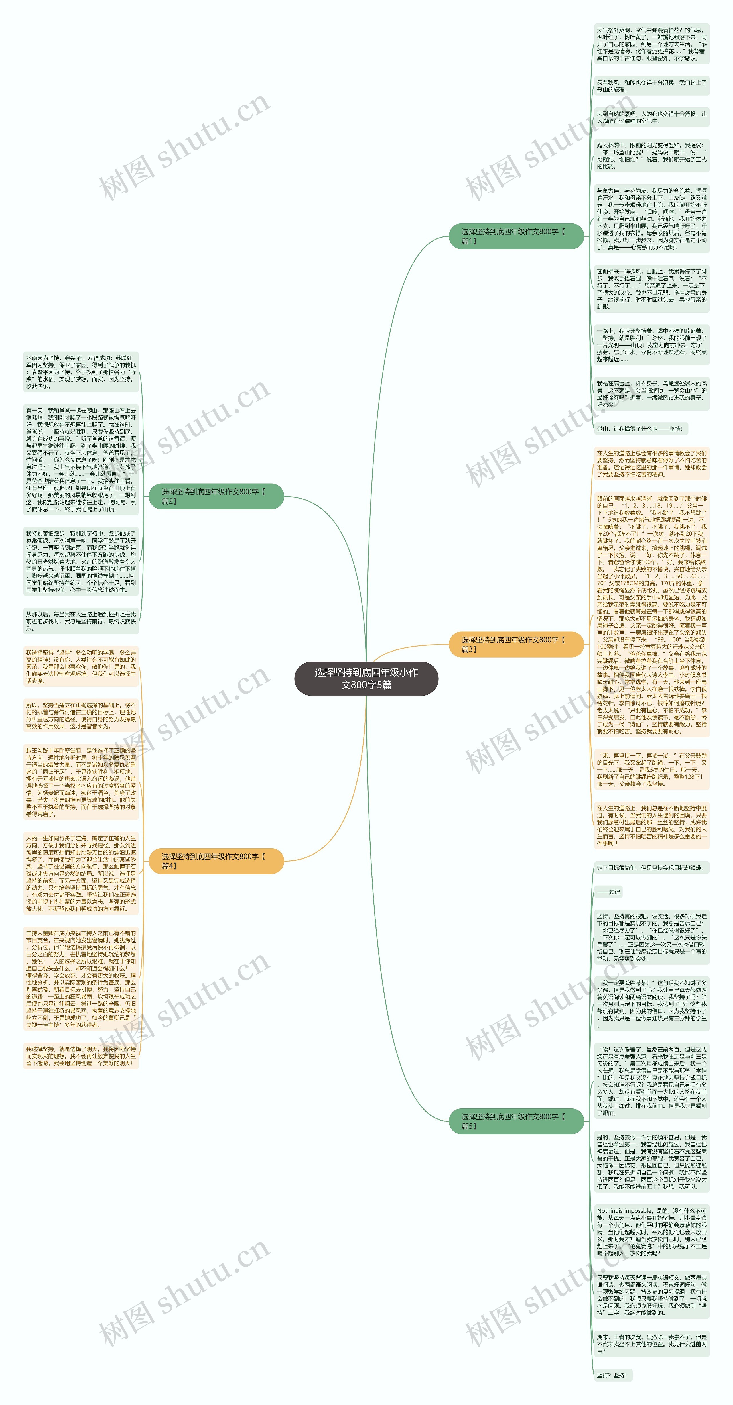 选择坚持到底四年级小作文800字5篇思维导图