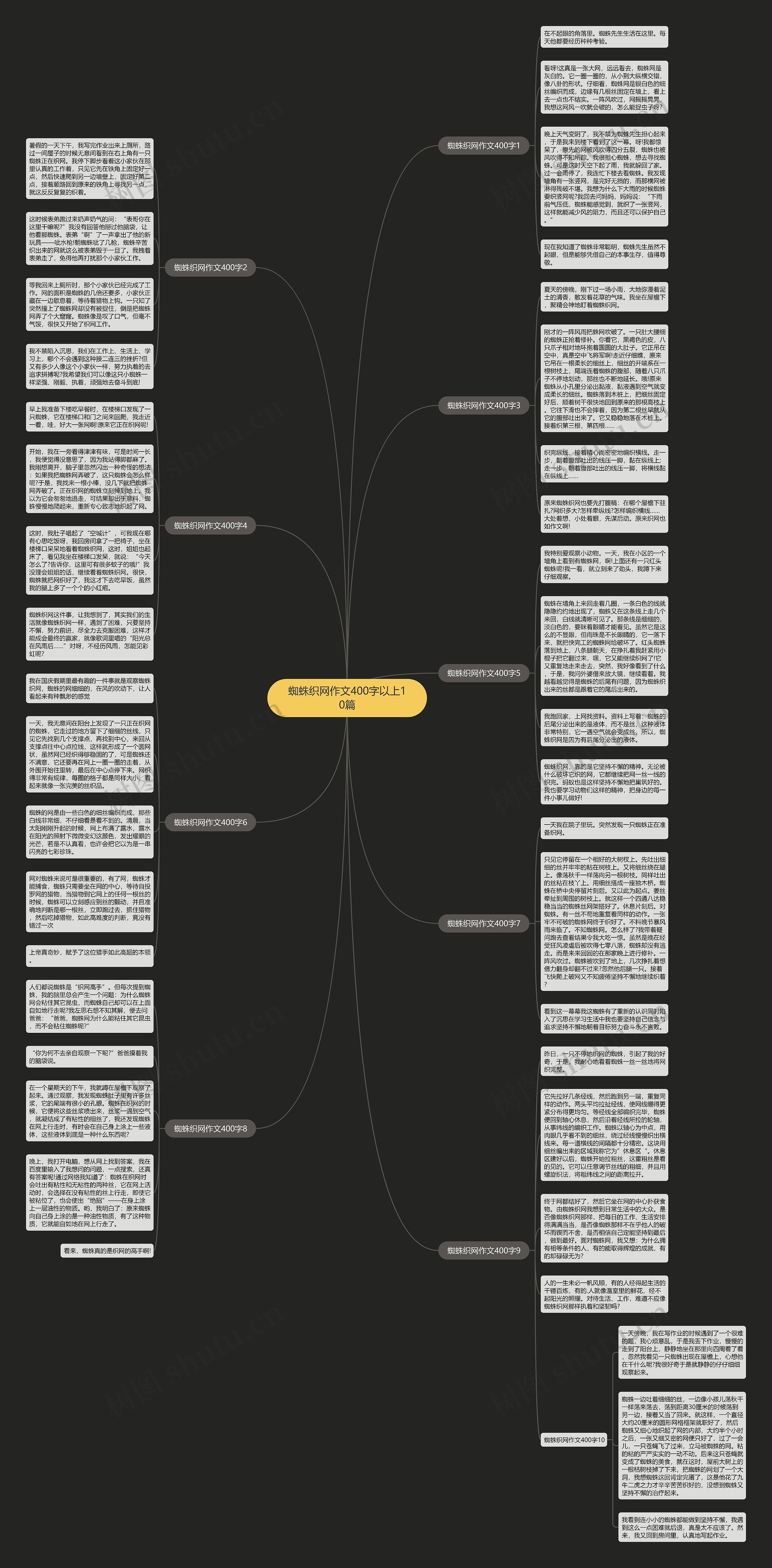蜘蛛织网作文400字以上10篇思维导图