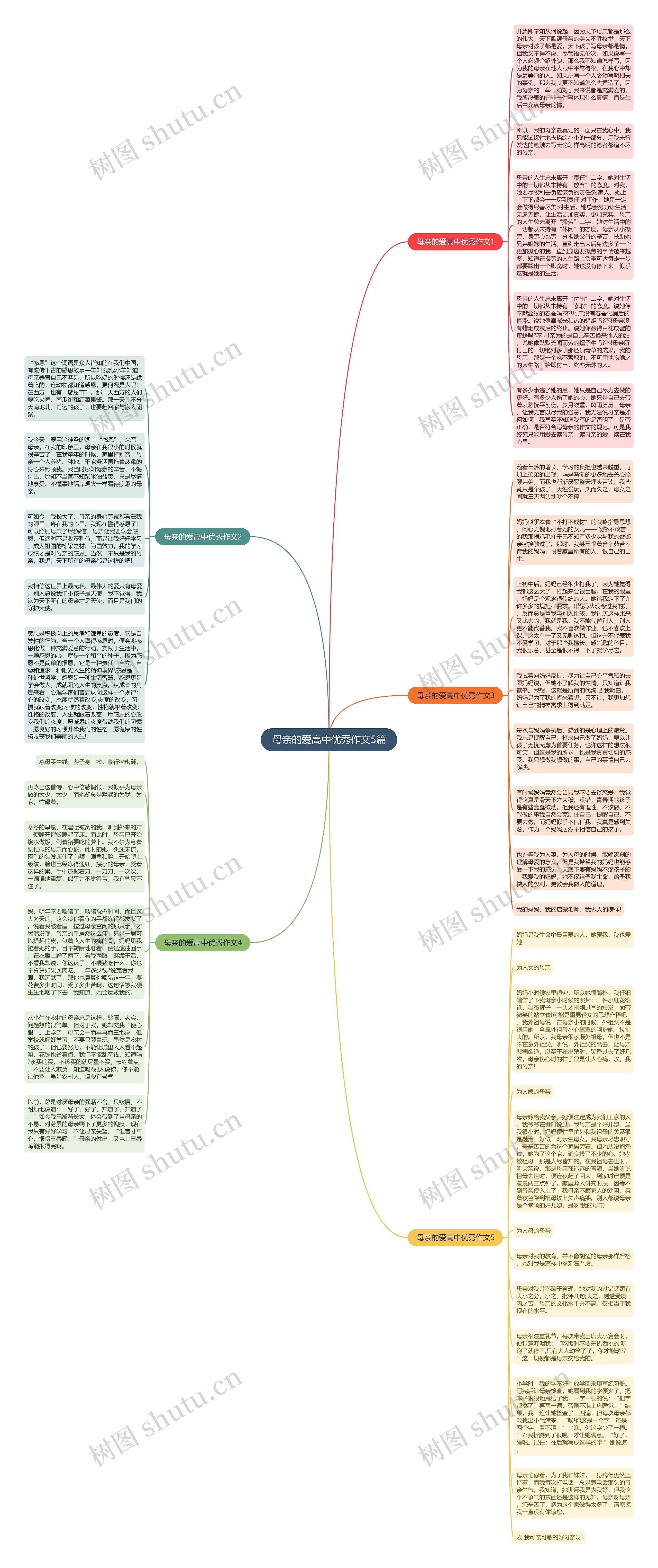 母亲的爱高中优秀作文5篇思维导图