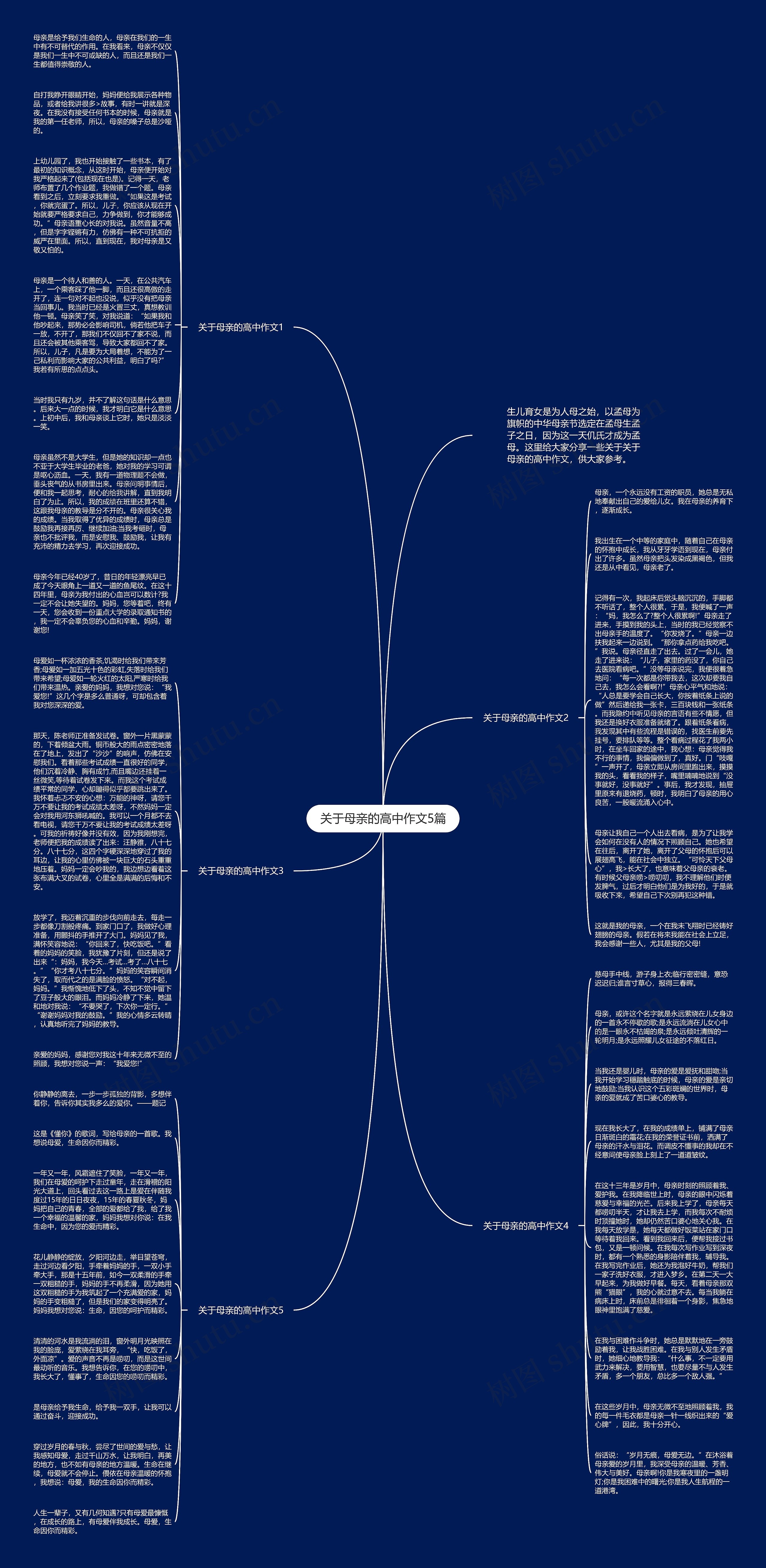 关于母亲的高中作文5篇思维导图