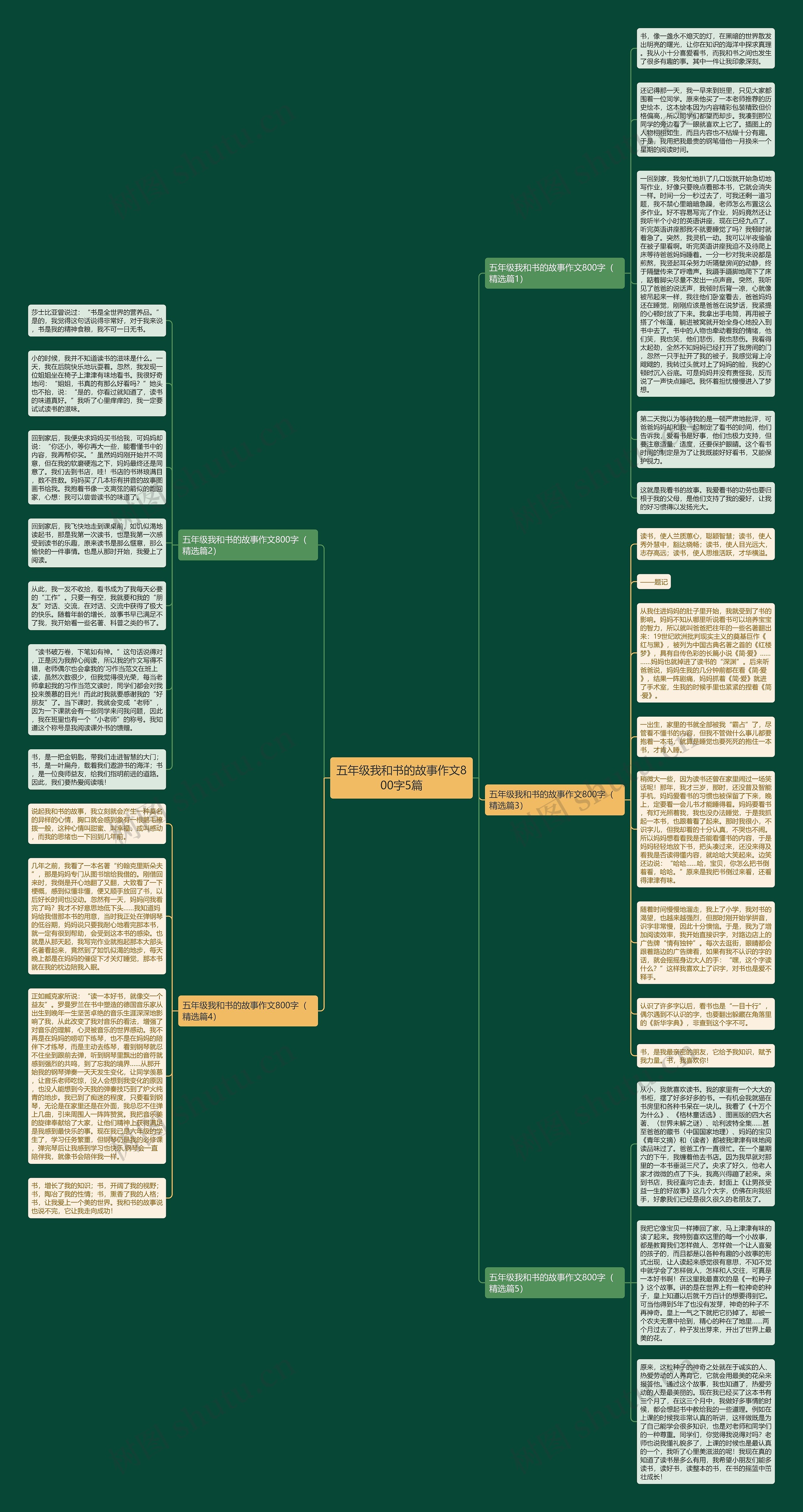 五年级我和书的故事作文800字5篇