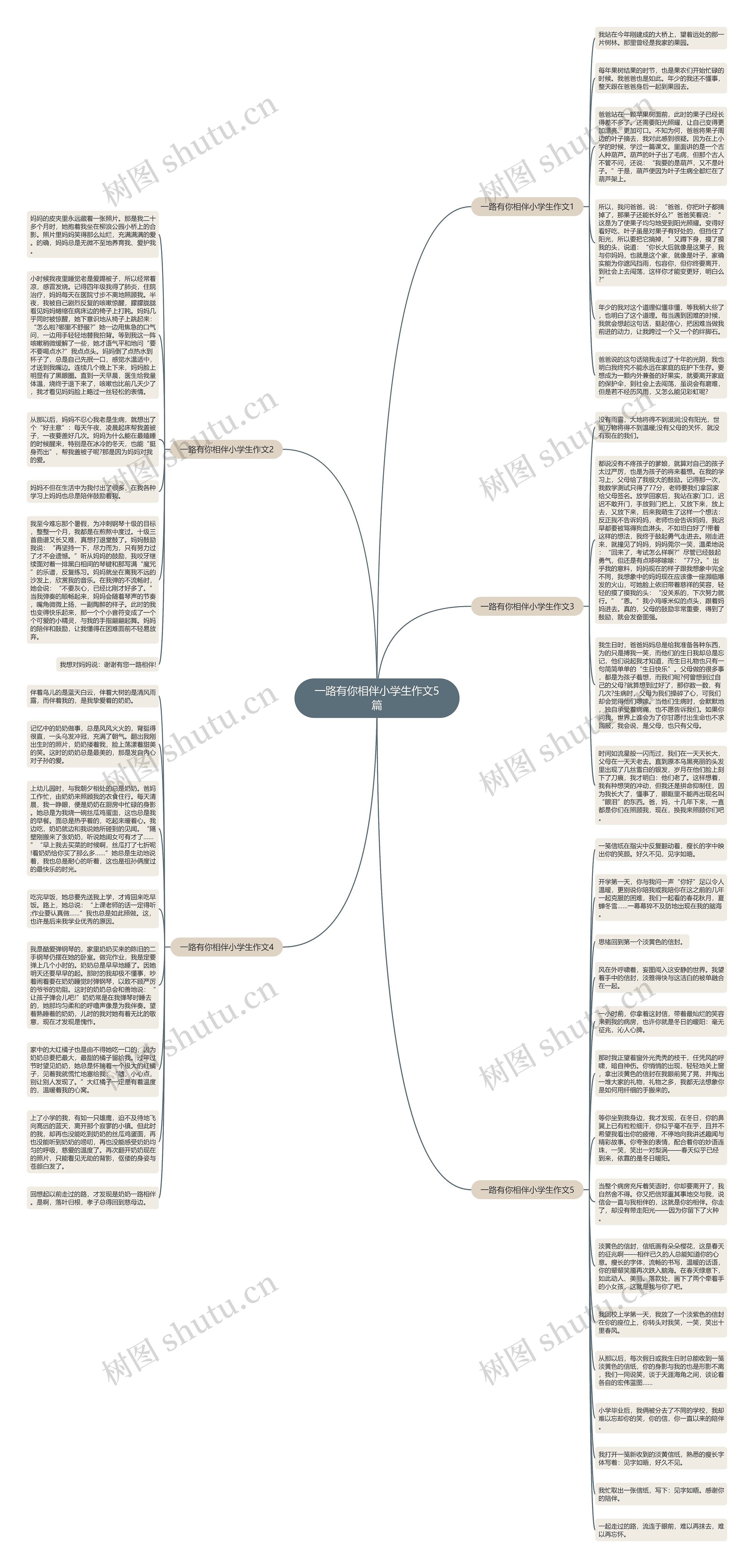 一路有你相伴小学生作文5篇思维导图