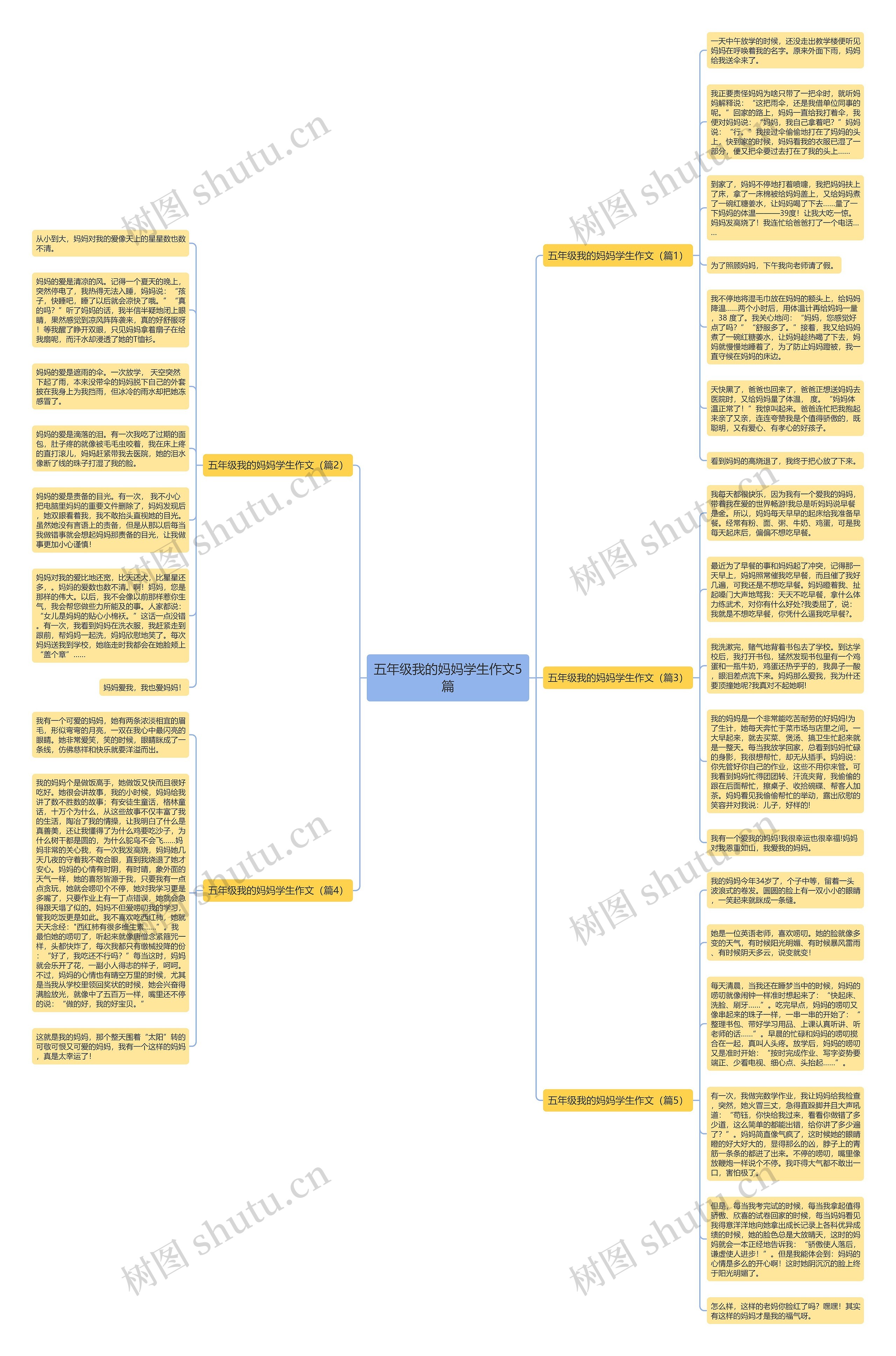 五年级我的妈妈学生作文5篇