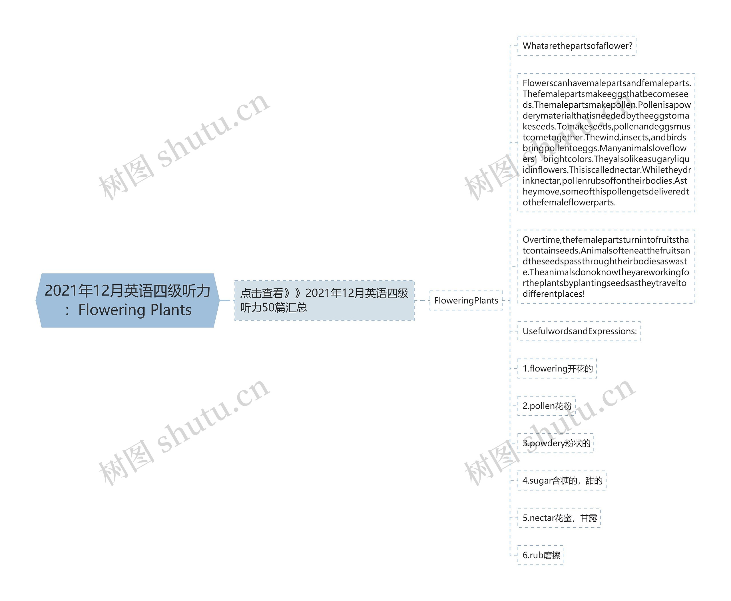 2021年12月英语四级听力:Flowering Plants思维导图高清图 2021年12月英语四级听力:Flowering Plants思维导图