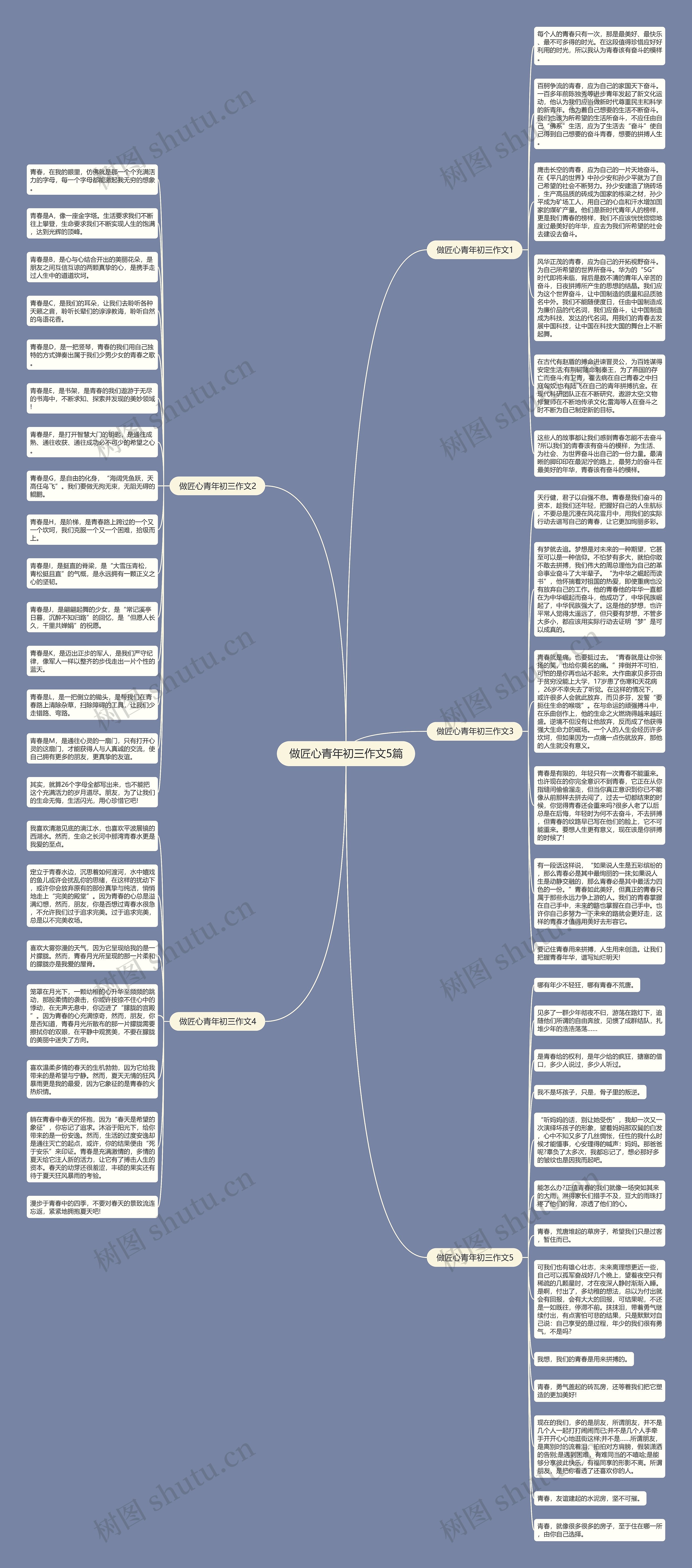 做匠心青年初三作文5篇思维导图