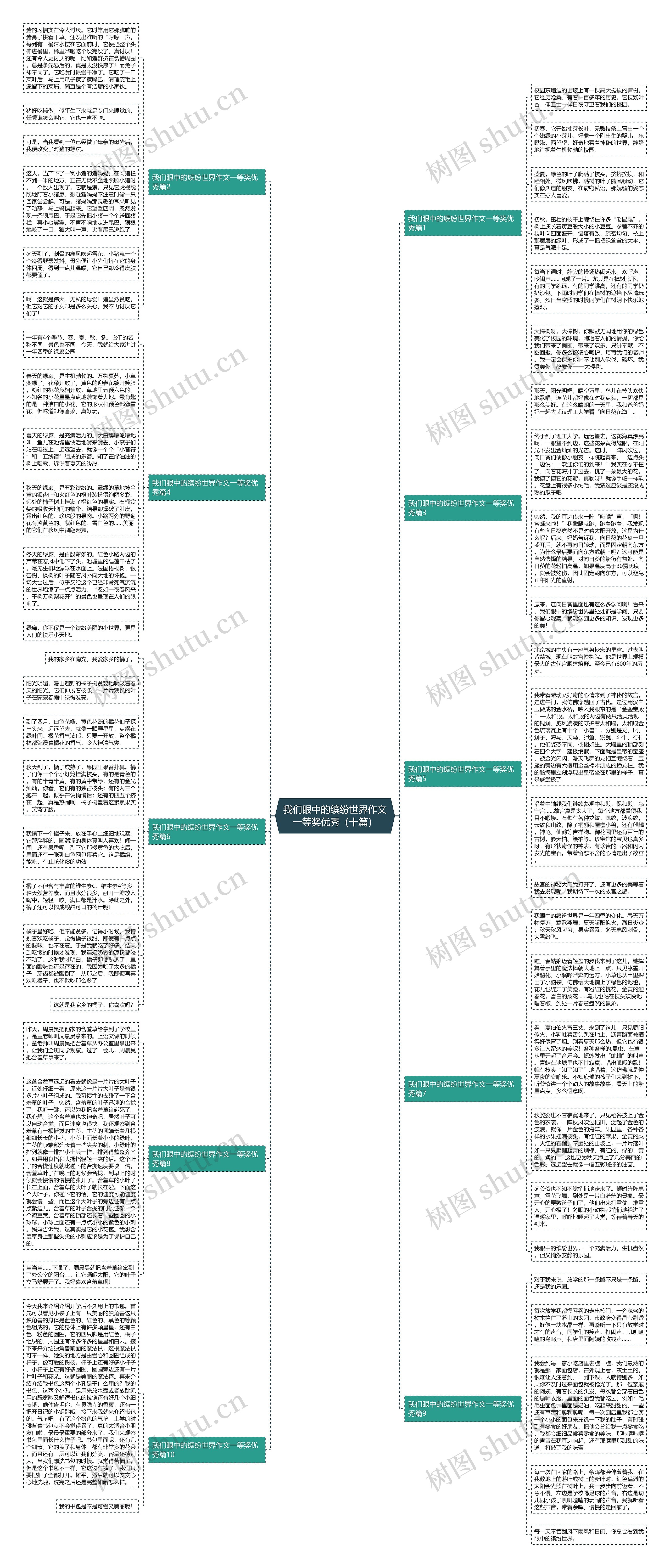 我们眼中的缤纷世界作文一等奖优秀（十篇）思维导图
