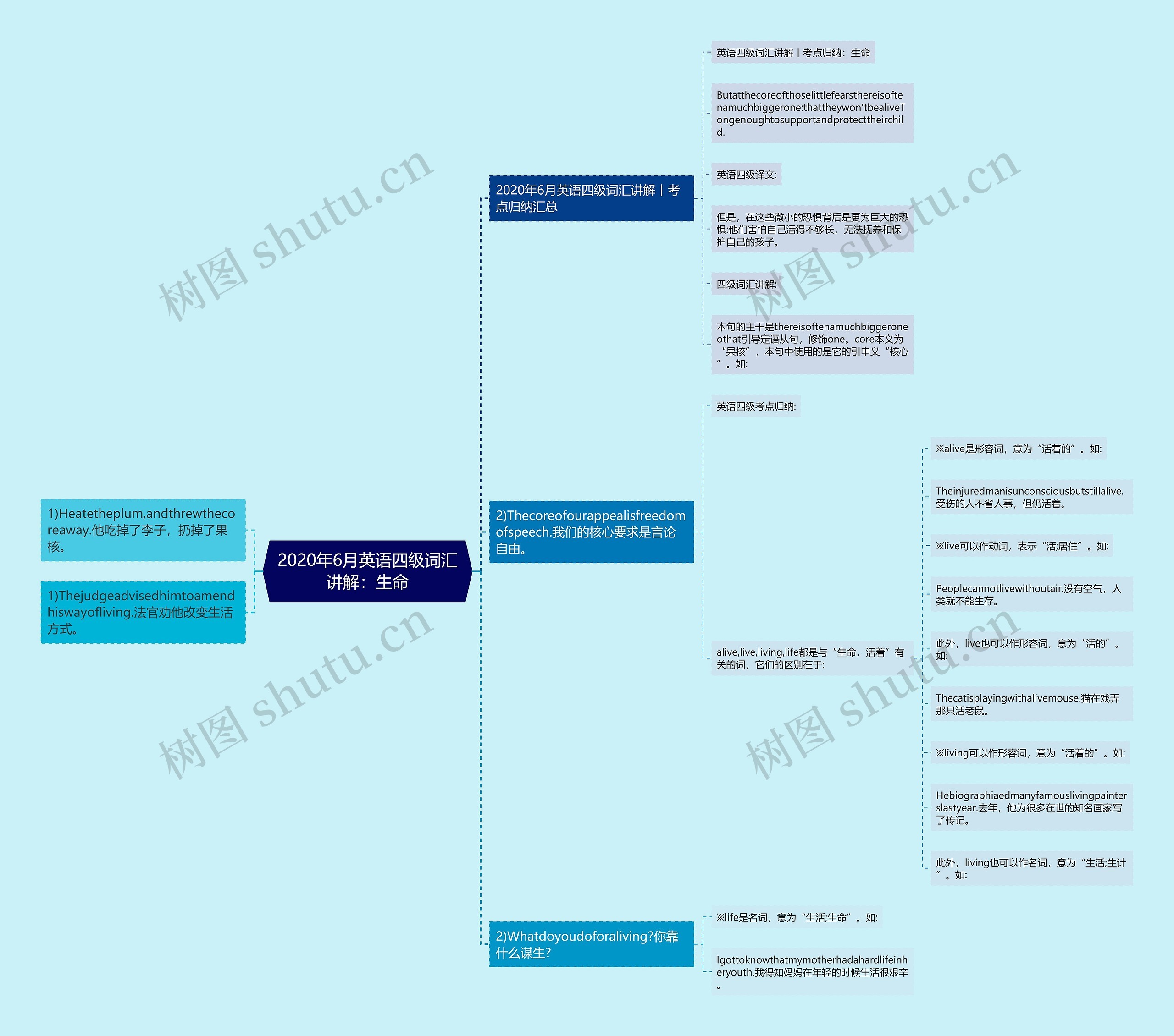 2020年6月英语四级词汇讲解：生命思维导图