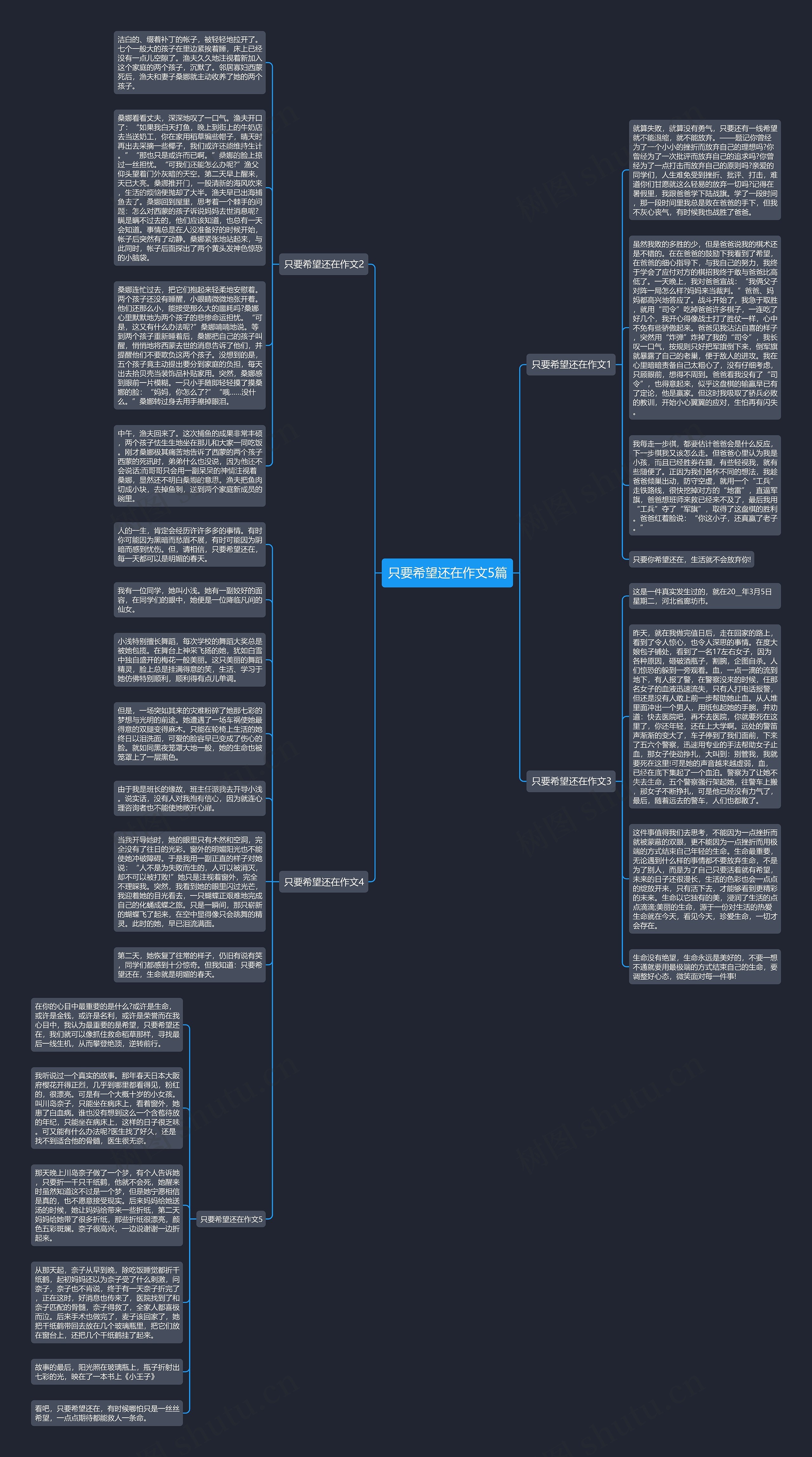 只要希望还在作文5篇思维导图