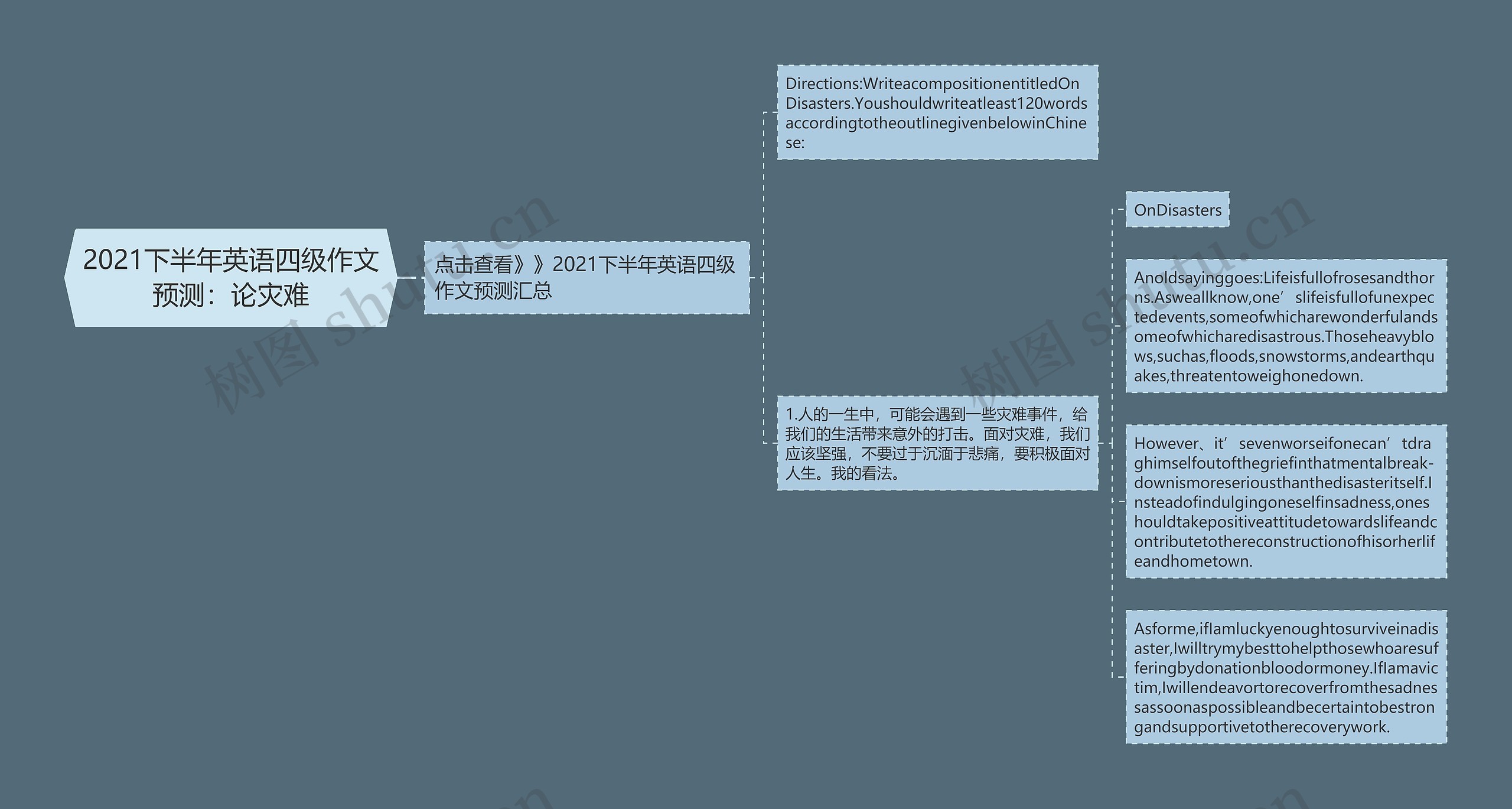 2021下半年英语四级作文预测：论灾难思维导图