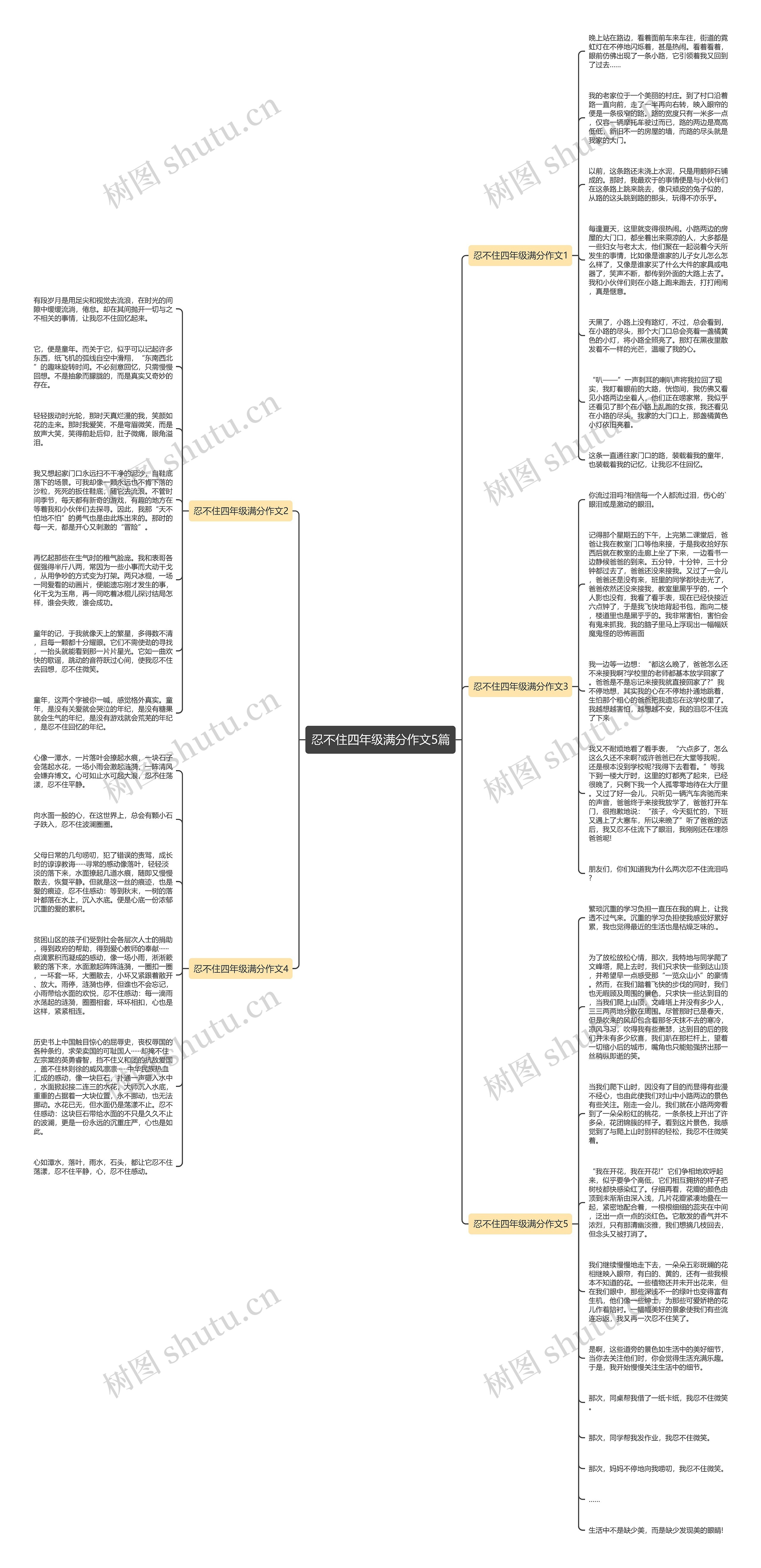 忍不住四年级满分作文5篇思维导图