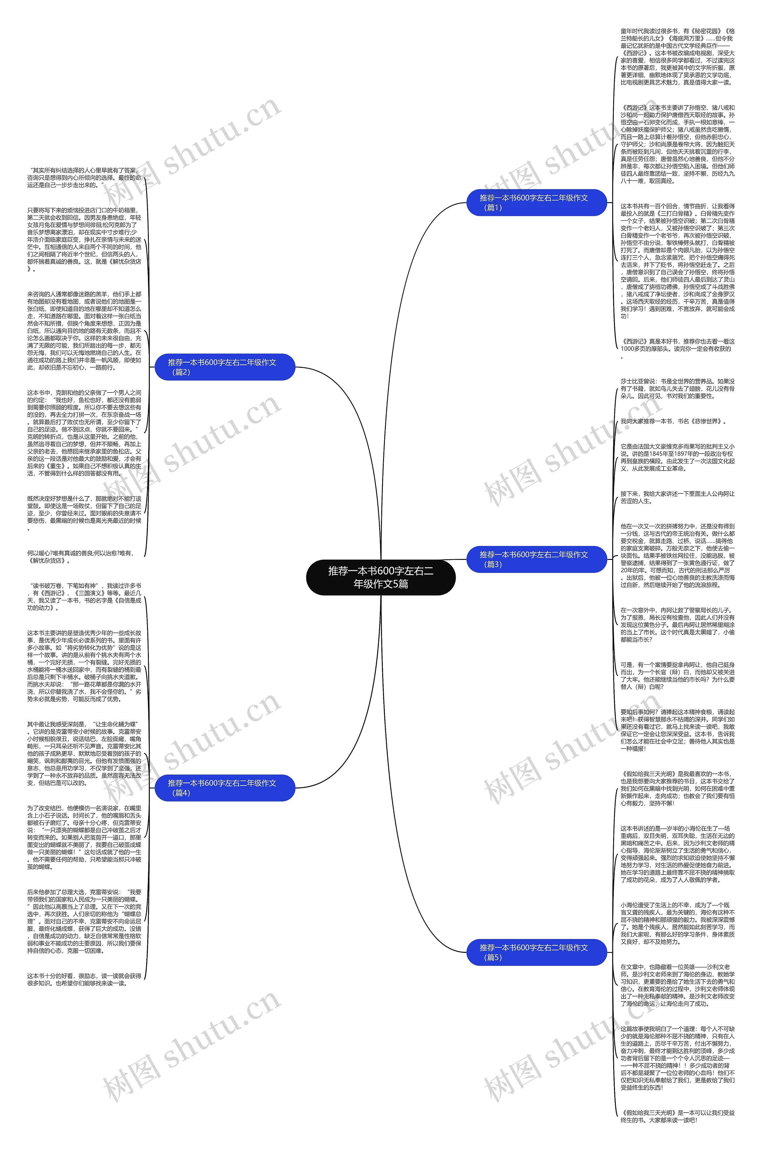 推荐一本书600字左右二年级作文5篇思维导图