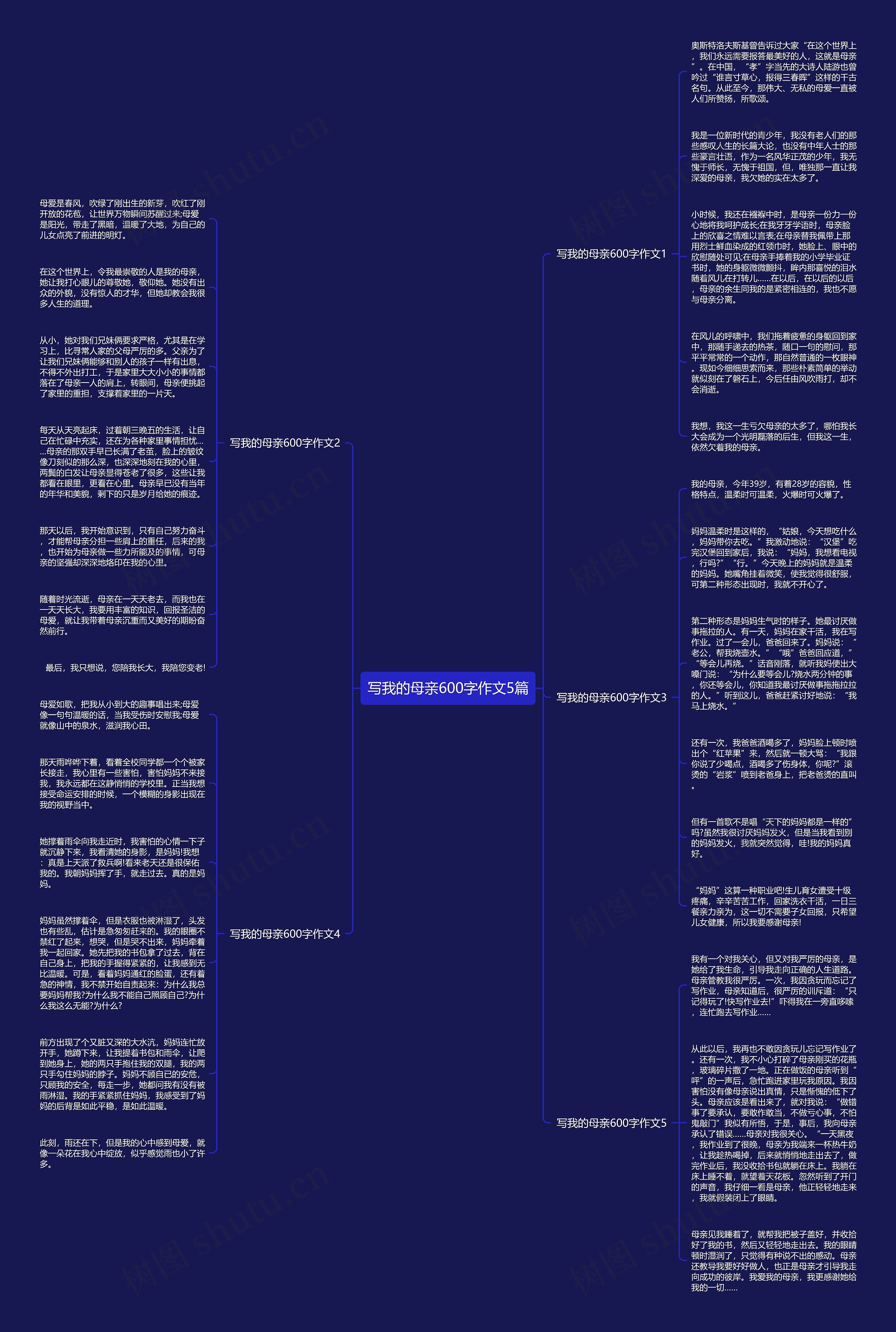 写我的母亲600字作文5篇思维导图
