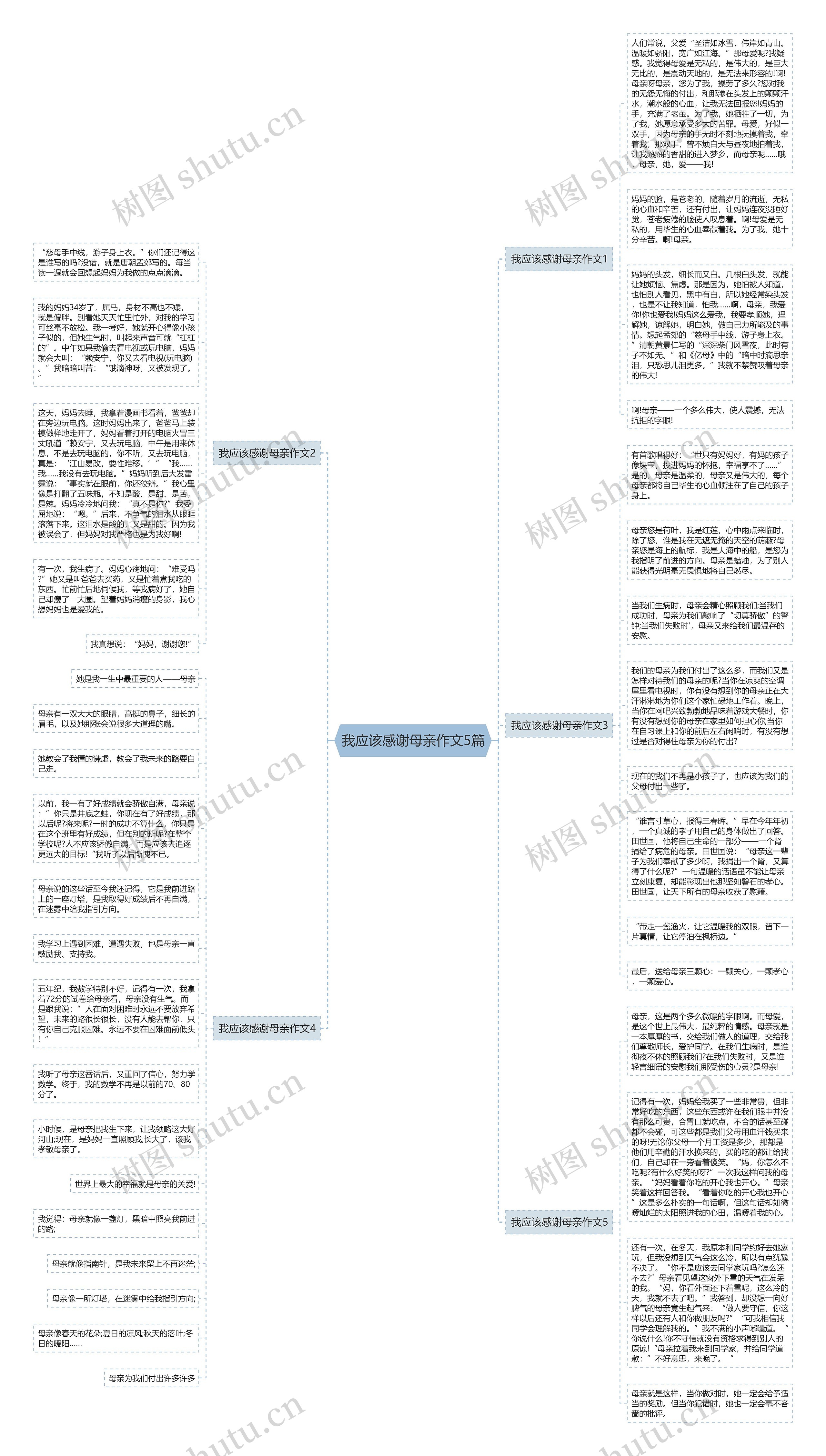 我应该感谢母亲作文5篇思维导图