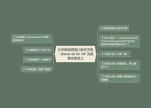 大学英语四级口语天天练：blame sb for sth 为某事责备某人