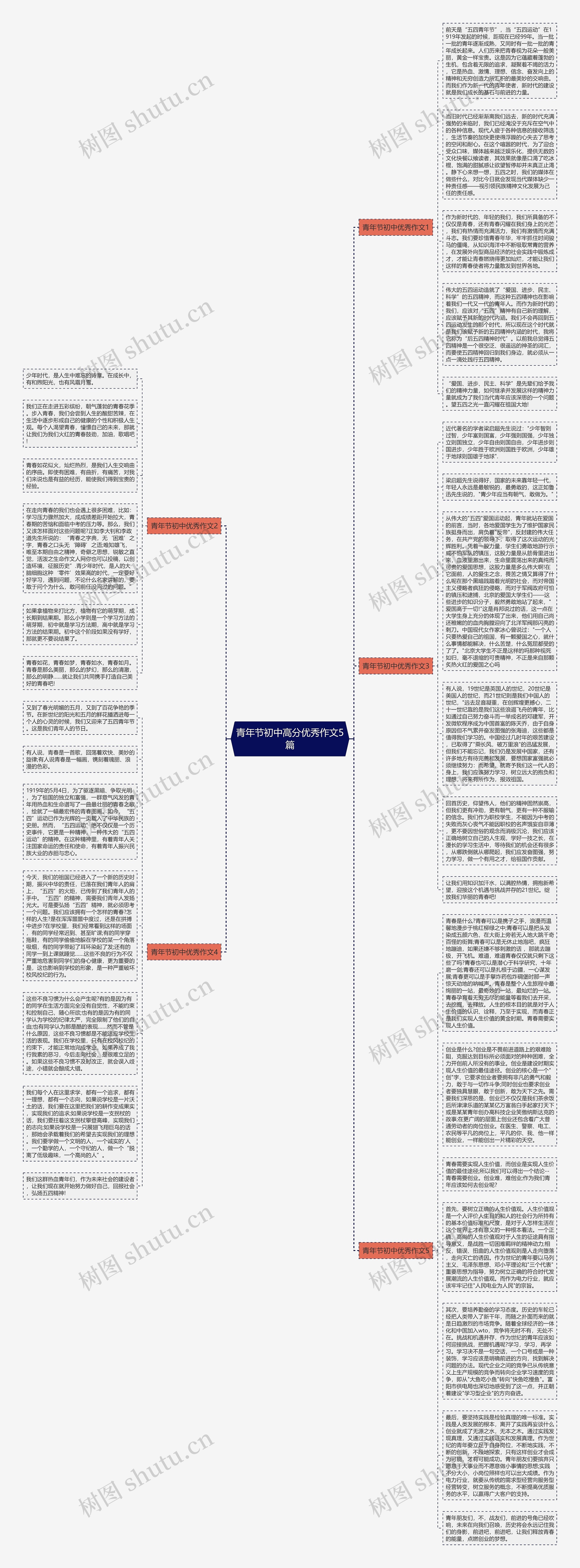 青年节初中高分优秀作文5篇思维导图