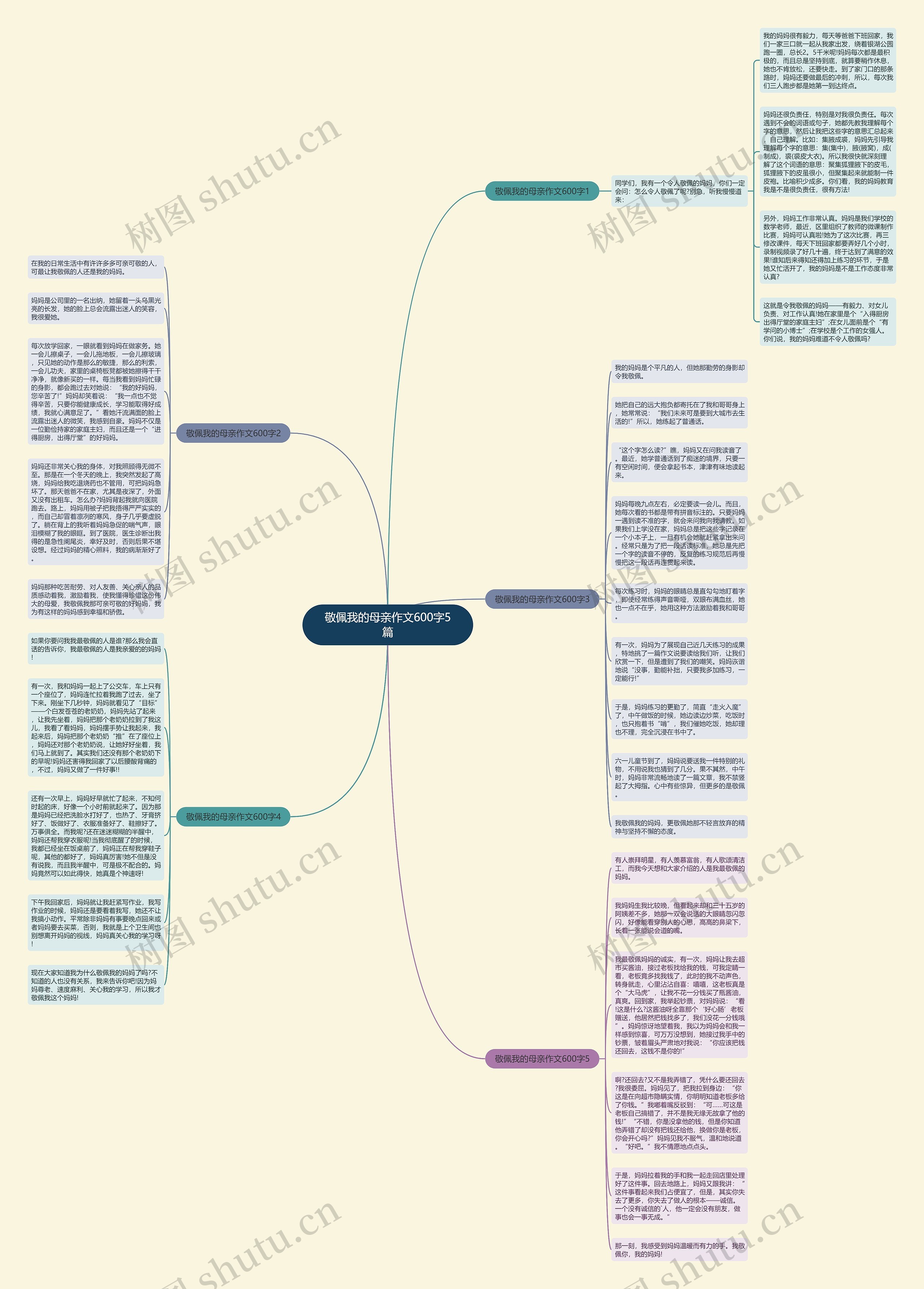 敬佩我的母亲作文600字5篇思维导图