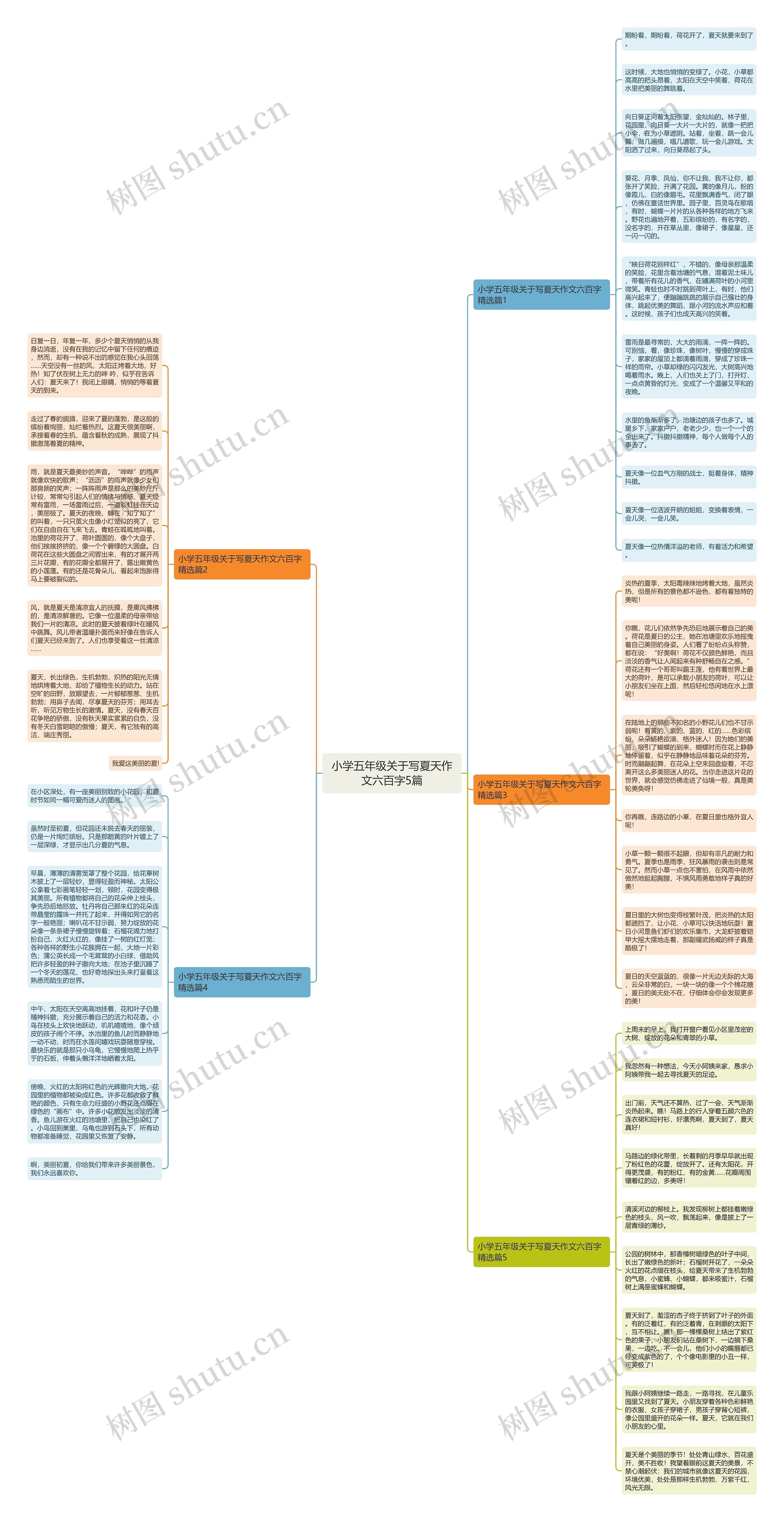 小学五年级关于写夏天作文六百字5篇思维导图