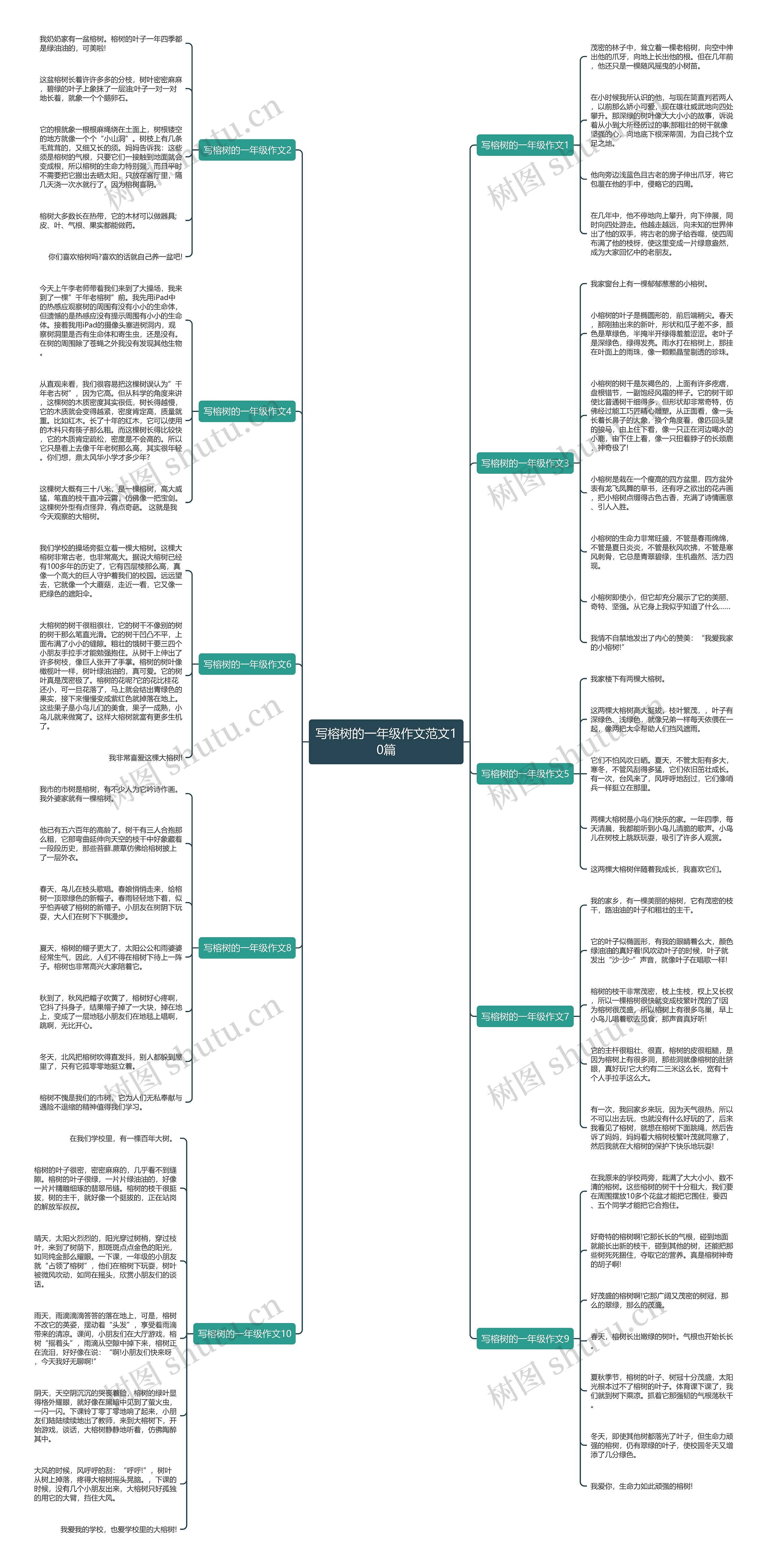 写榕树的一年级作文范文10篇思维导图