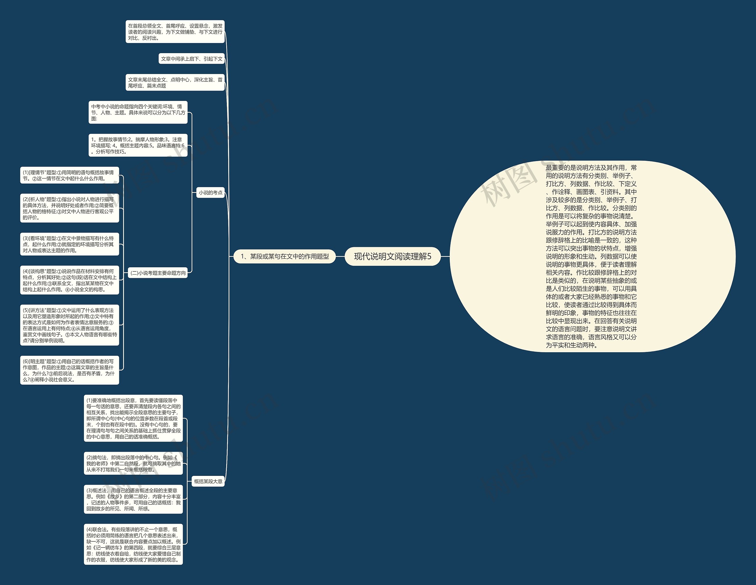 现代说明文阅读理解5思维导图