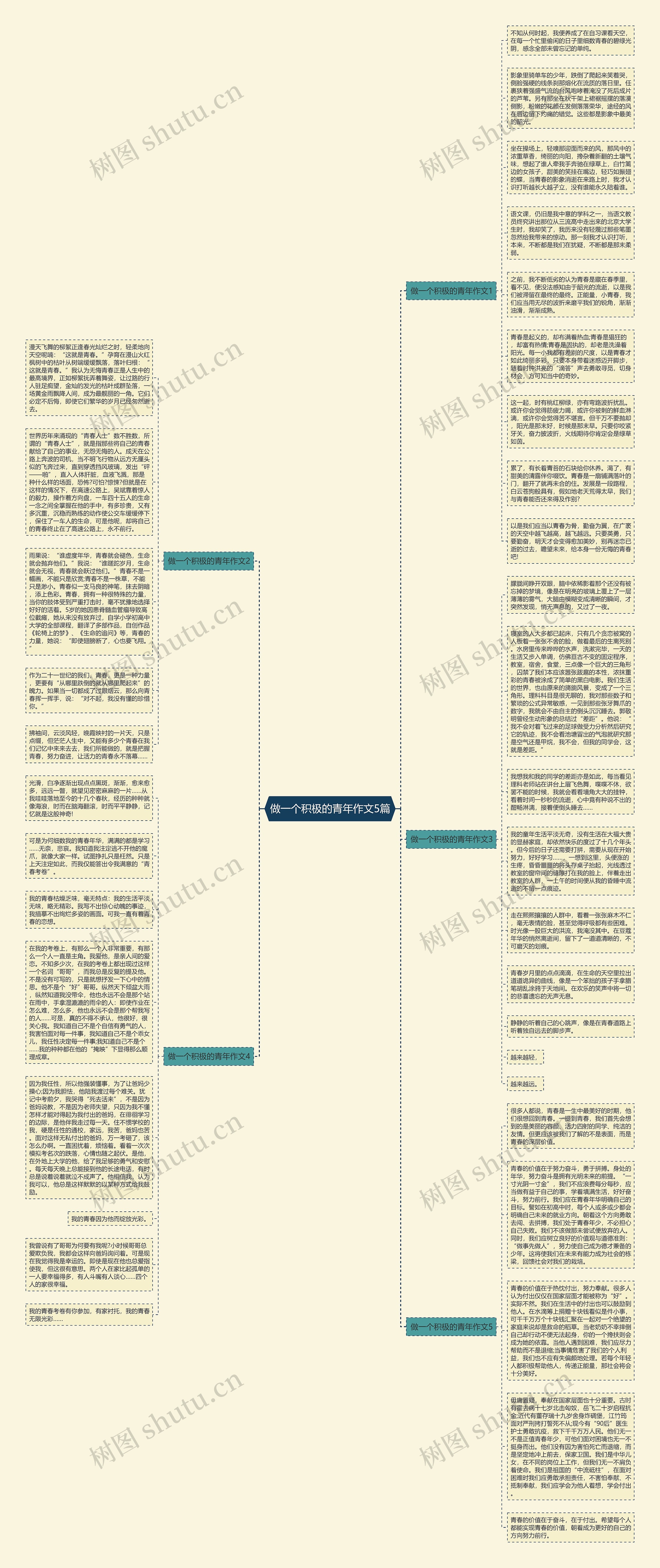 做一个积极的青年作文5篇思维导图