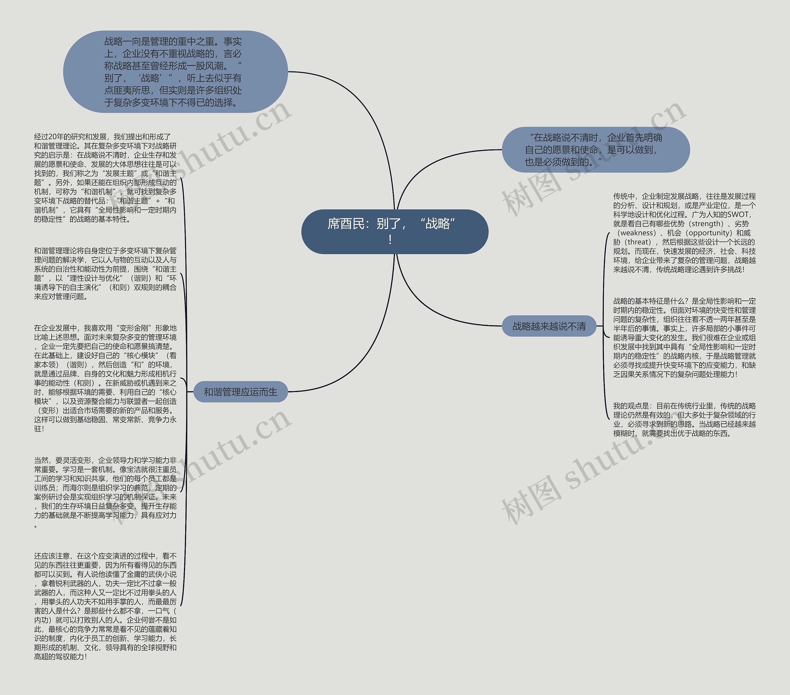 席酉民：别了，“战略”！ 思维导图