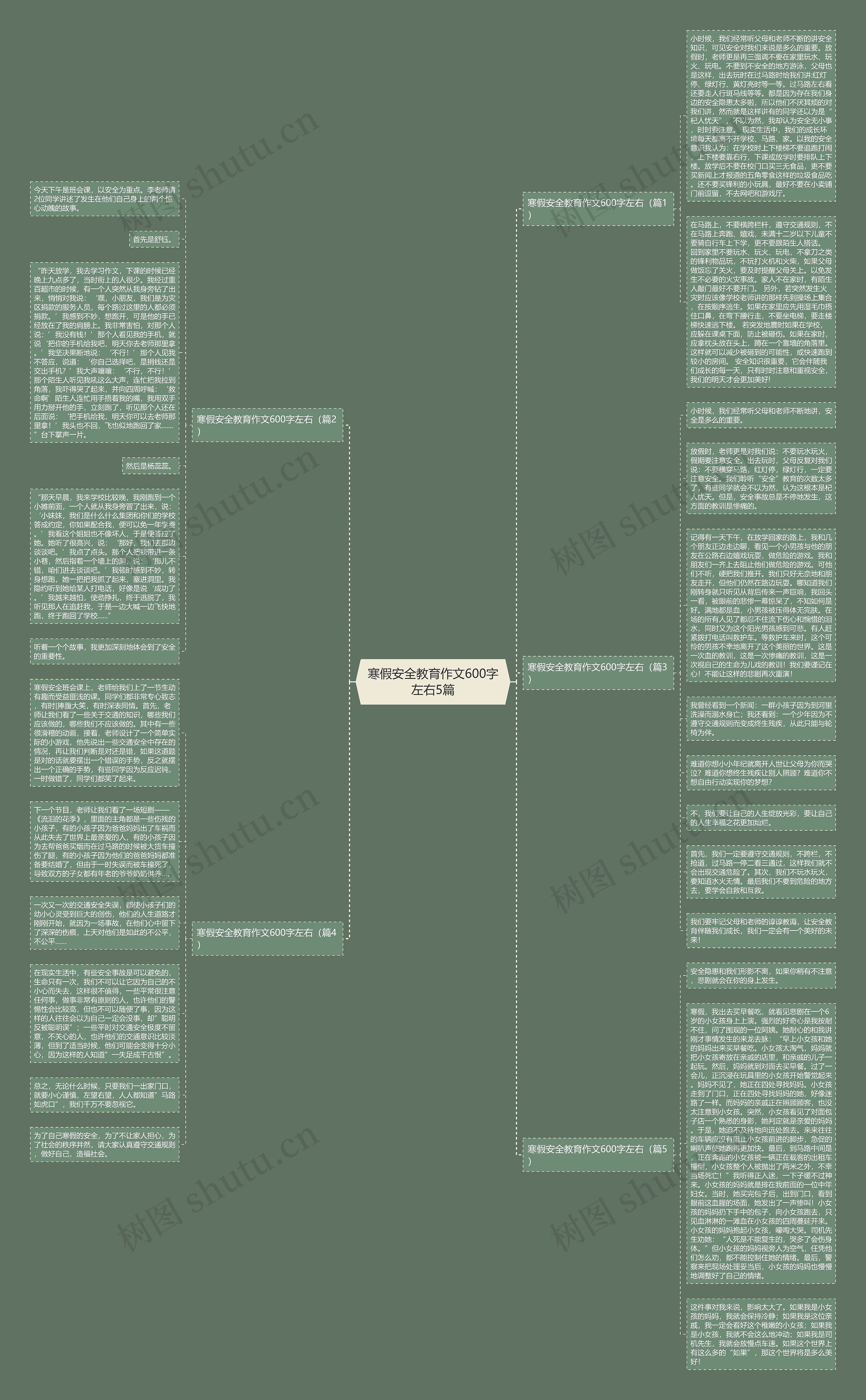 寒假安全教育作文600字左右5篇思维导图