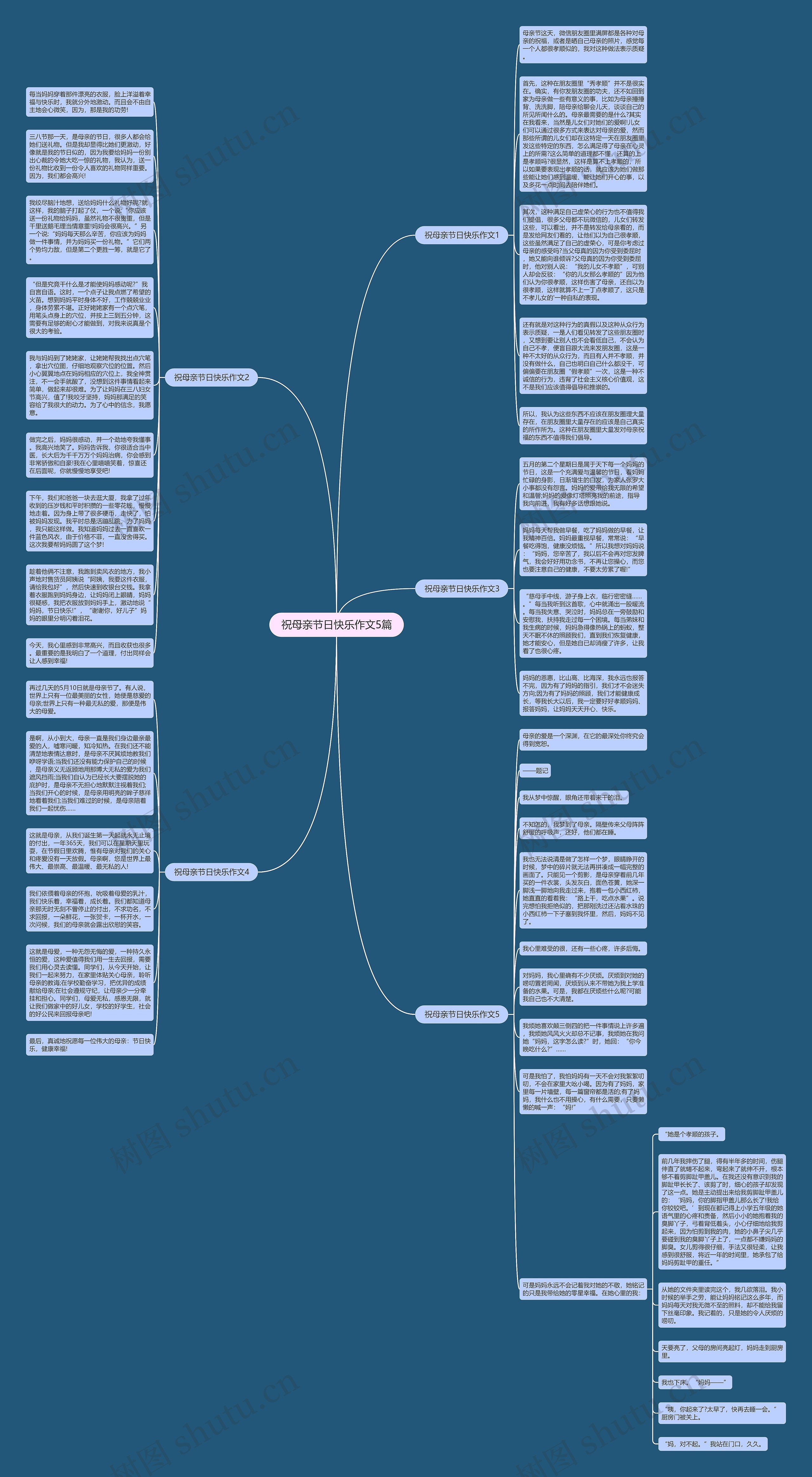 祝母亲节日快乐作文5篇思维导图