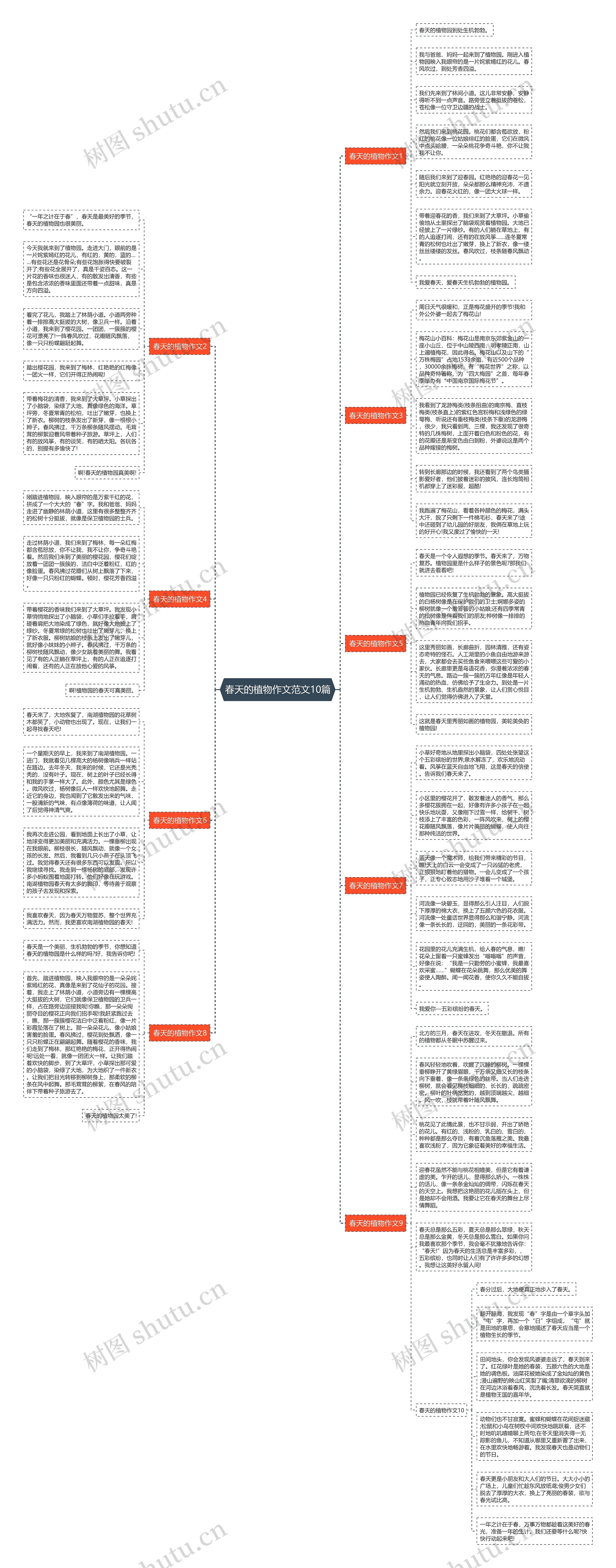 春天的植物作文范文10篇思维导图