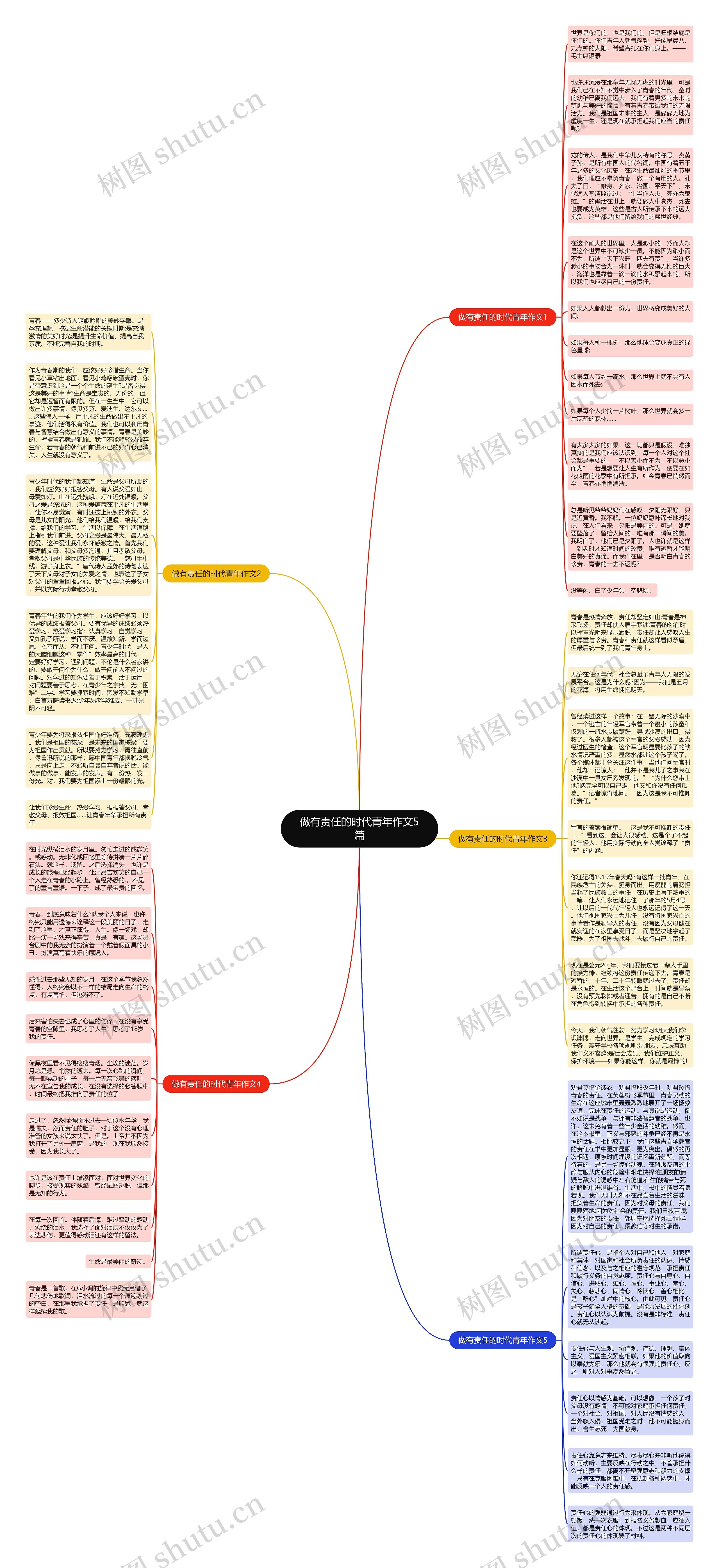 做有责任的时代青年作文5篇思维导图