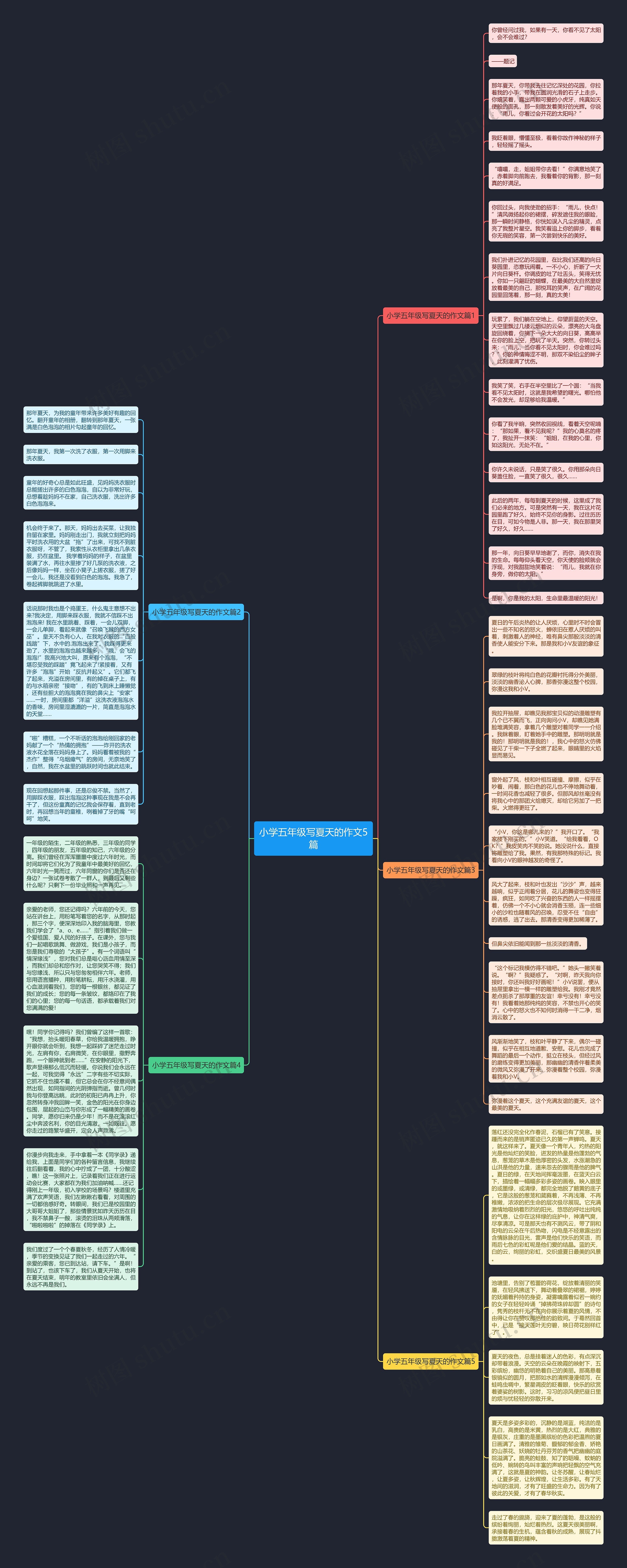小学五年级写夏天的作文5篇